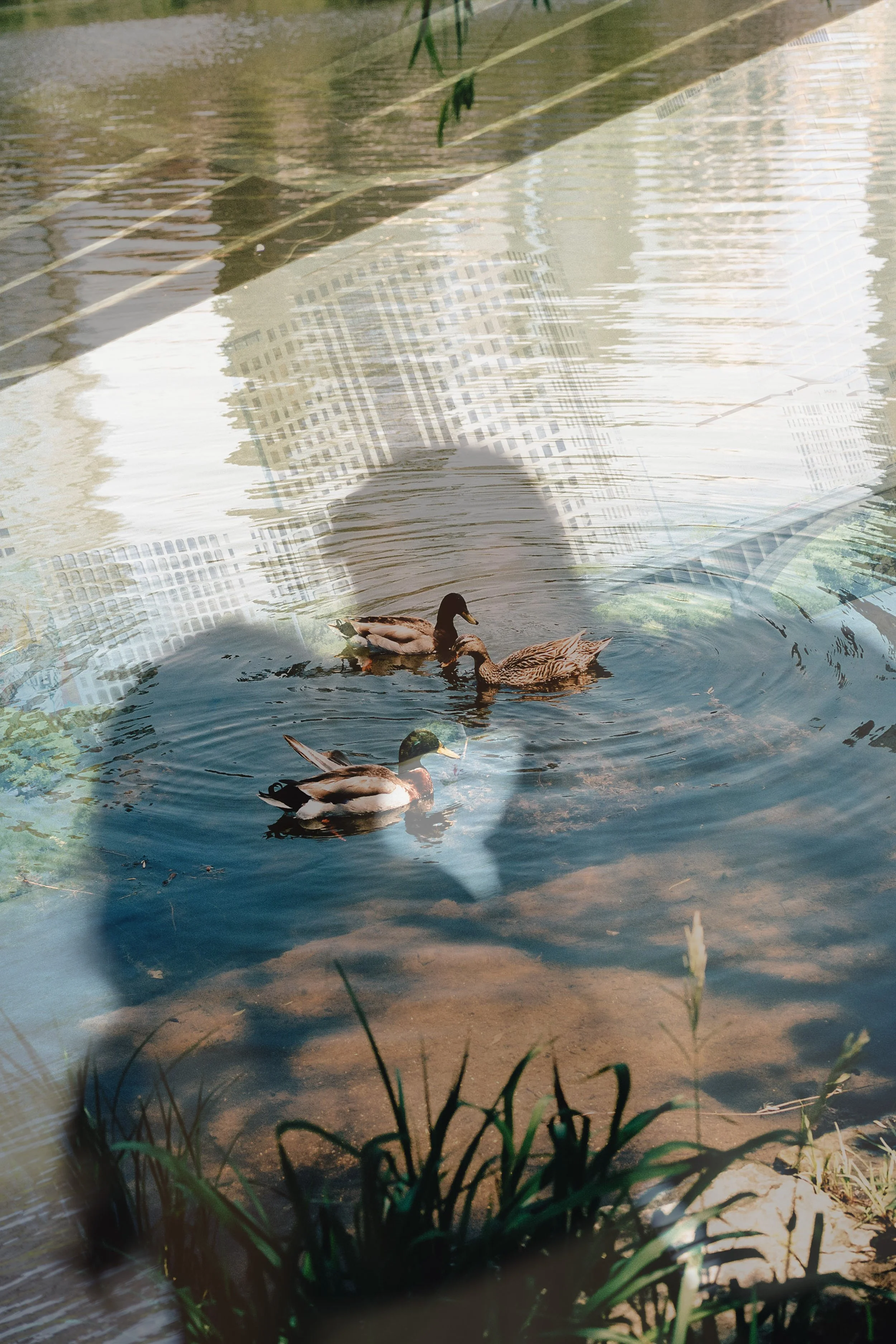 doubleexposure2.jpg