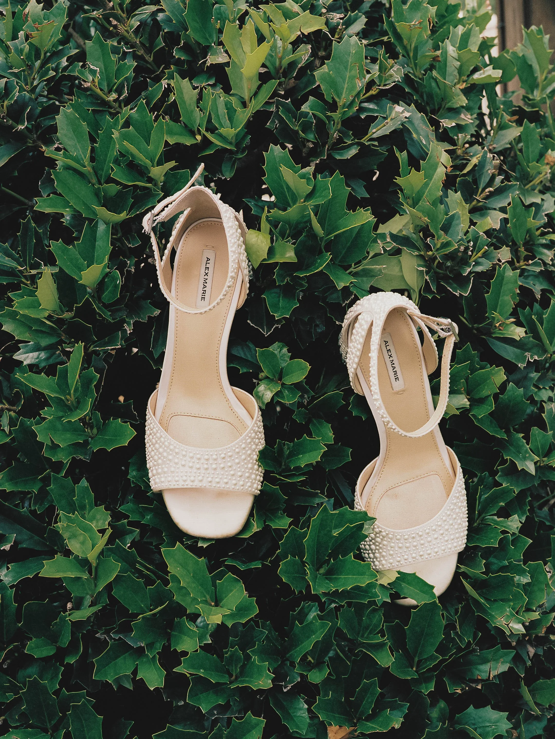 Pair of white high-heeled shoes decorated with pearls, placed on green holly leaves.