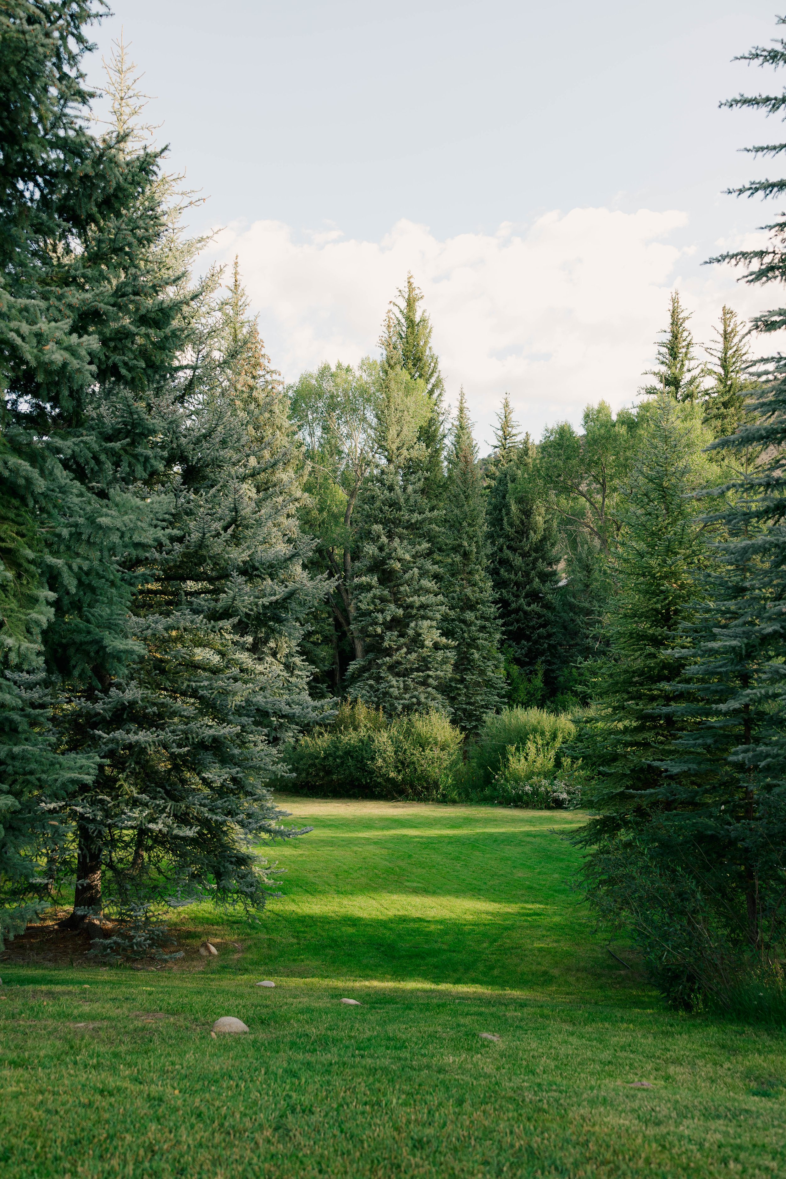 Aspen Colorado wedding scenery