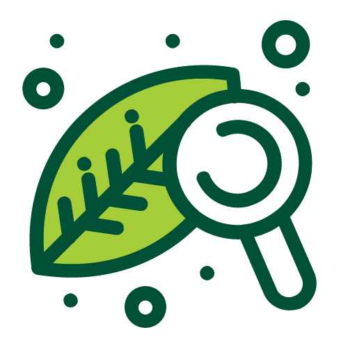 Illustration of a magnifying glass examining a green leaf with small circles surrounding it.