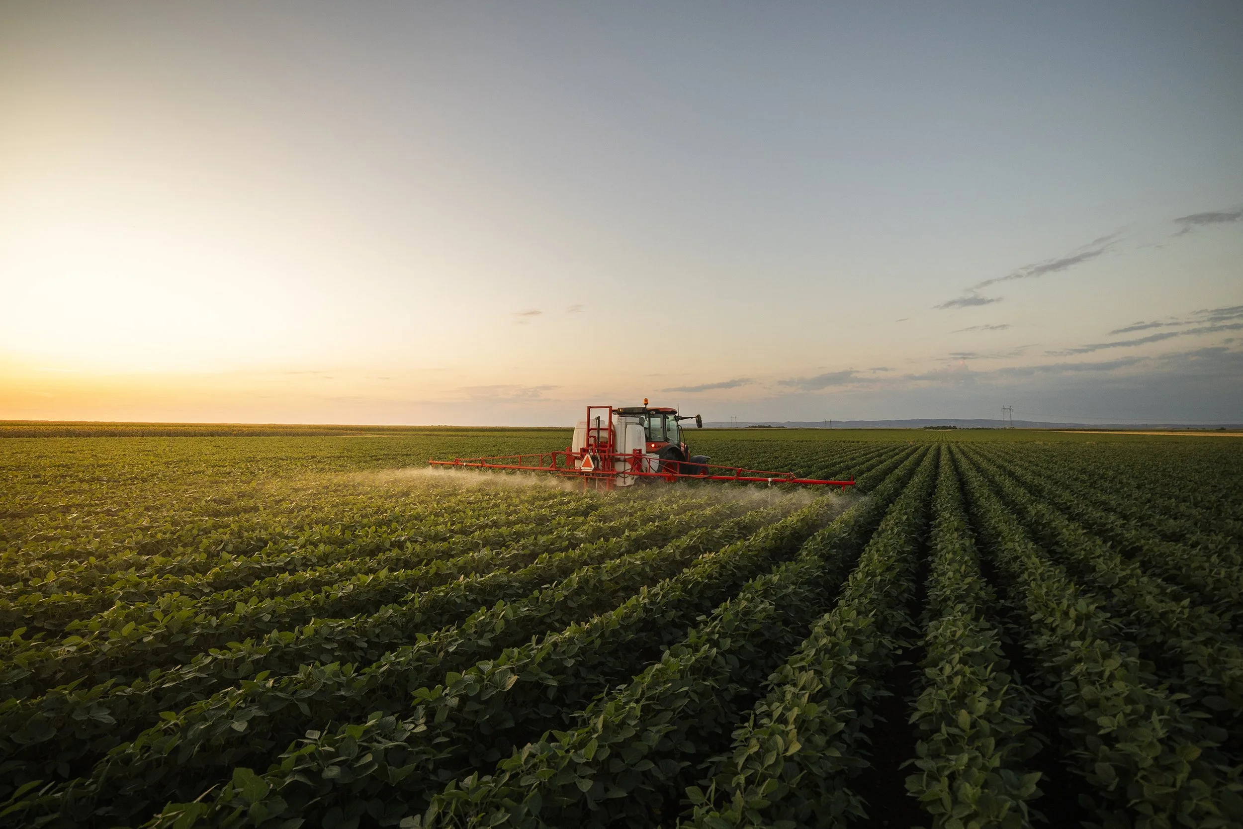 A tractor spraying crops in a large green field during sunset.