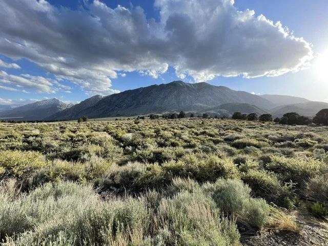 A scenic landscape with a vast, flat field of shrubs and low vegetation in the foreground, mountains in the background, and a sky with large, partly cloudy clouds overhead.