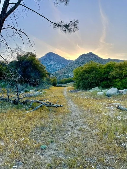 A dirt trail running through a grassy area with rocks, trees, and mountains in the background at sunset.
