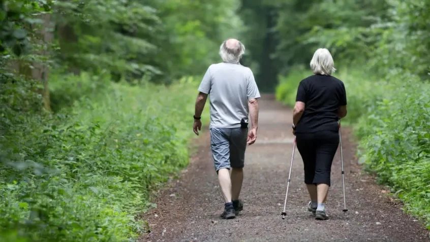 WEB21-older couple walking in forest-1800x600.jpeg.webp