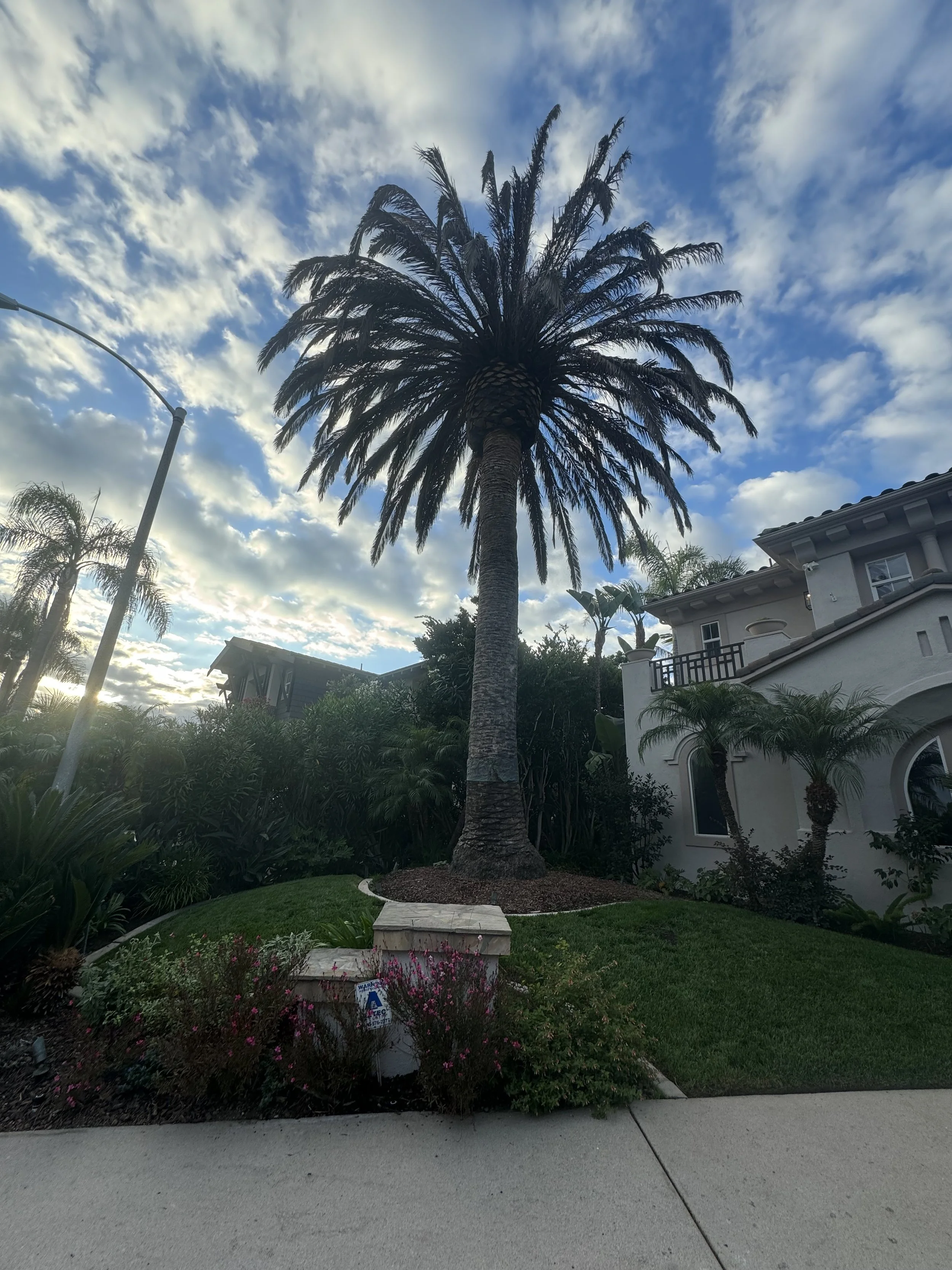 IMG_3342.jpeg