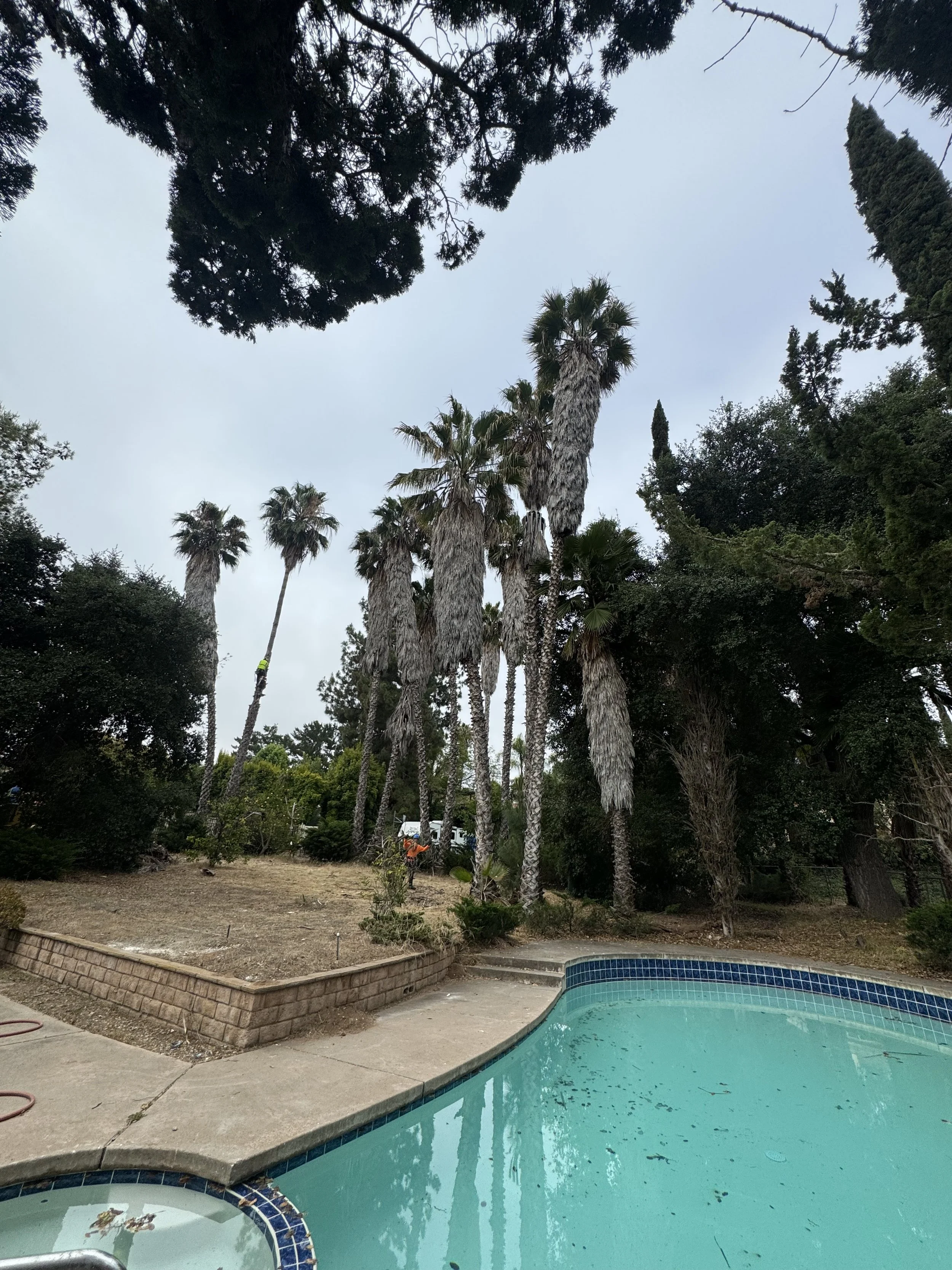 IMG_0997.jpeg