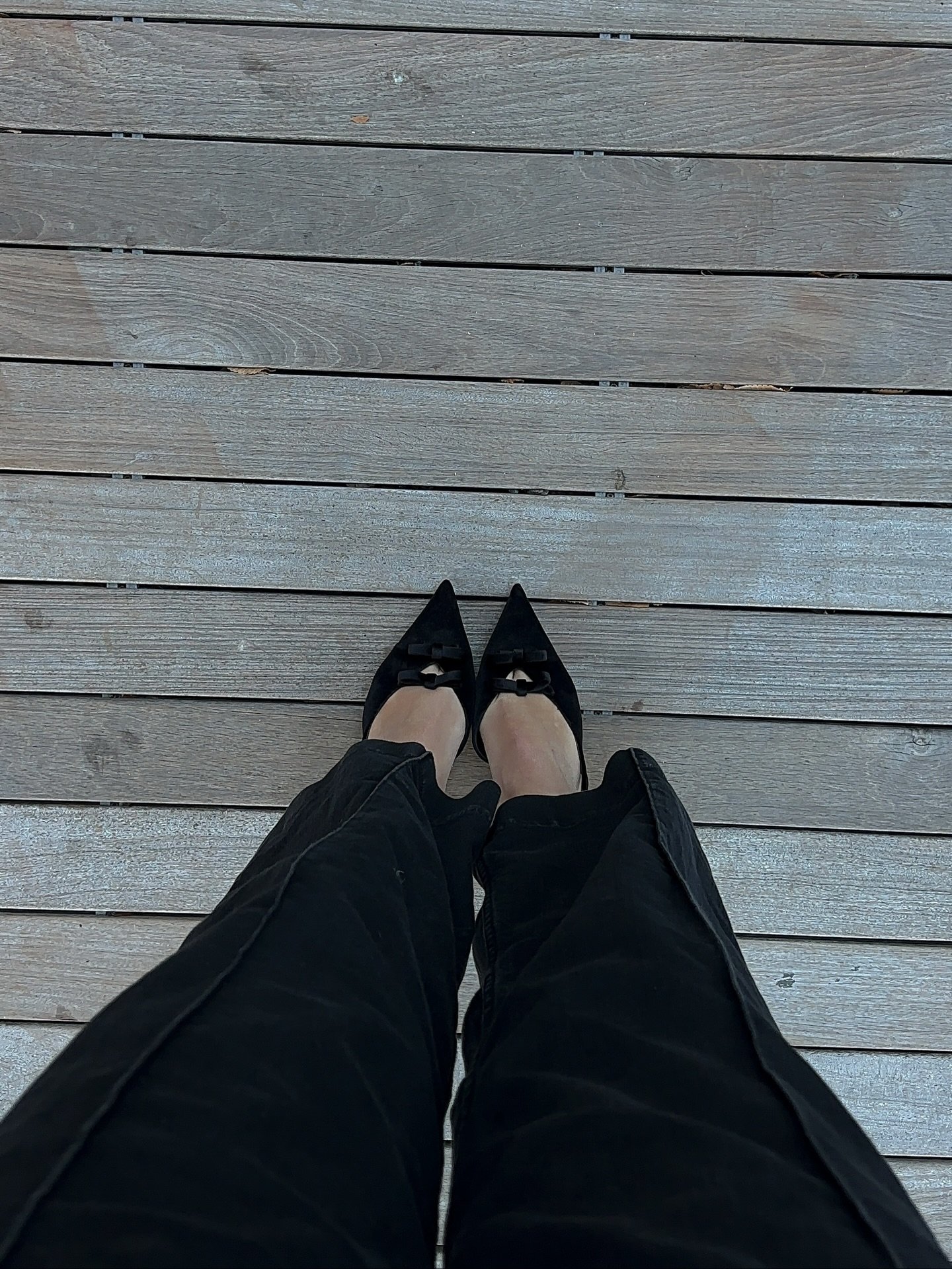 through the lens recently