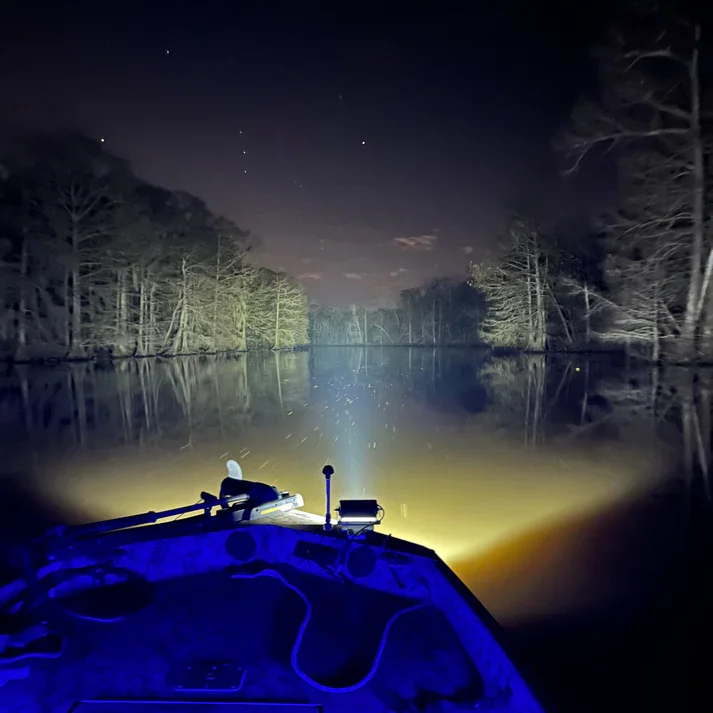 Nighttime view from a boat on a calm lake with headlight illuminating the water and trees along the shoreline and a clear sky with stars.