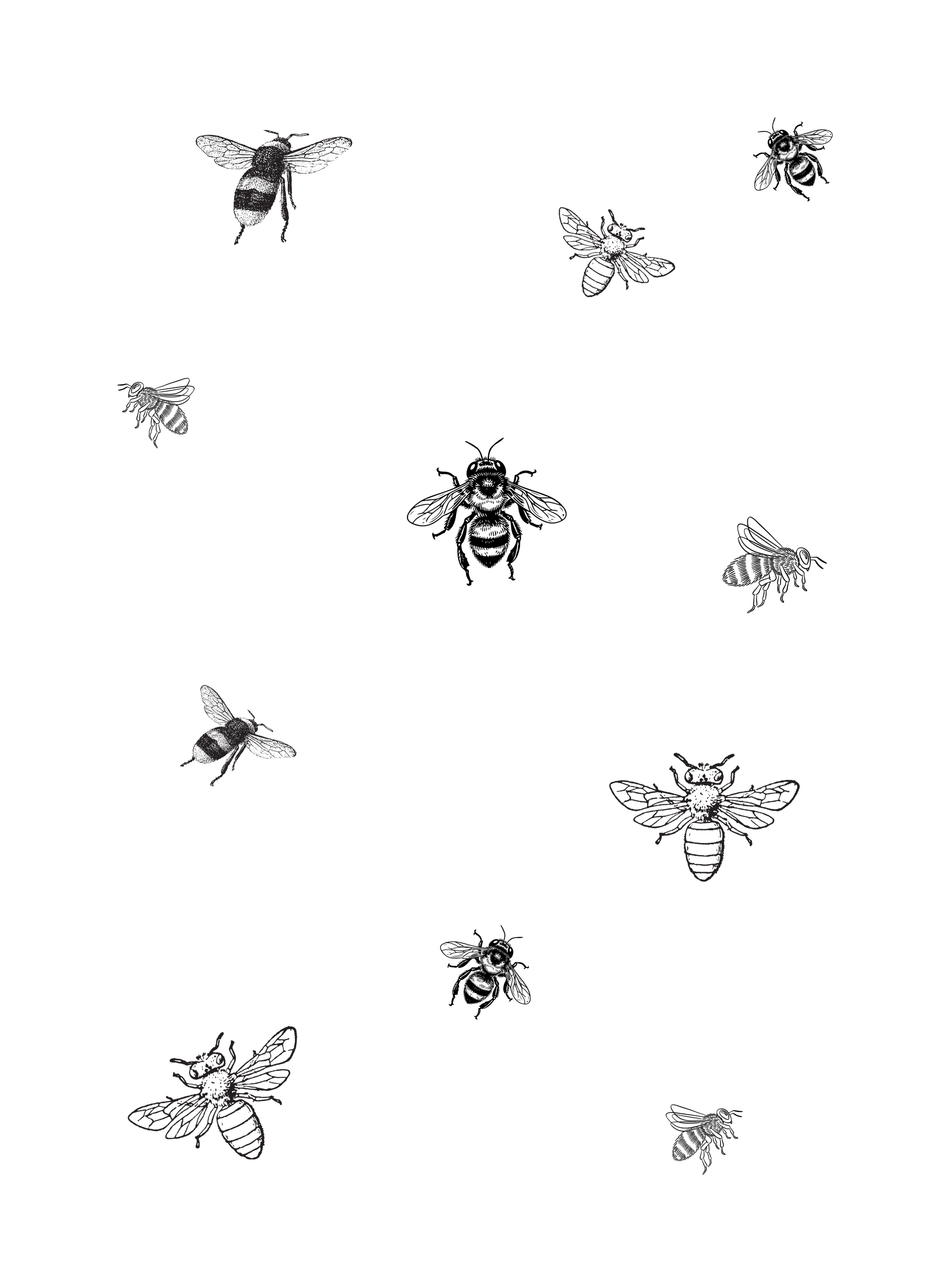 Black background with faint outline illustrations of bees and a honeycomb pattern.