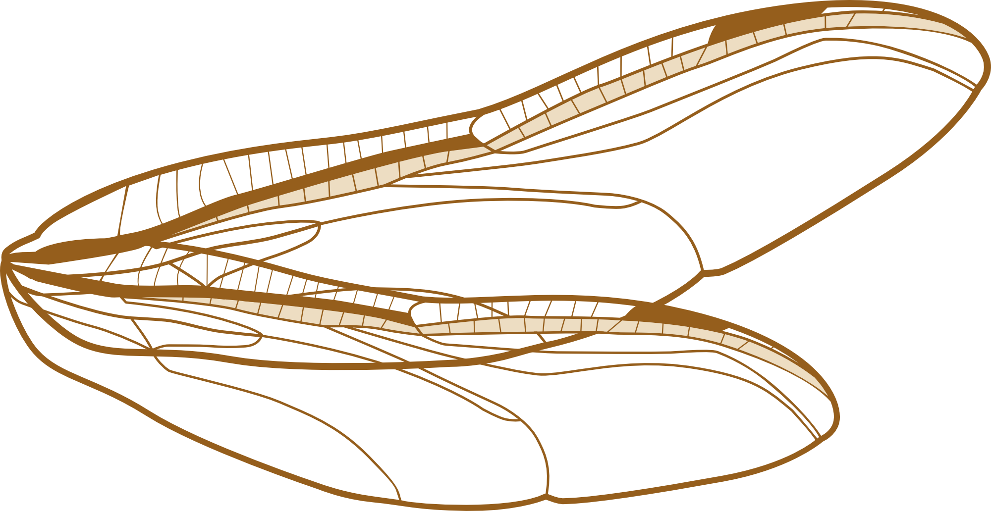 Hand drawn illustration for branding kit