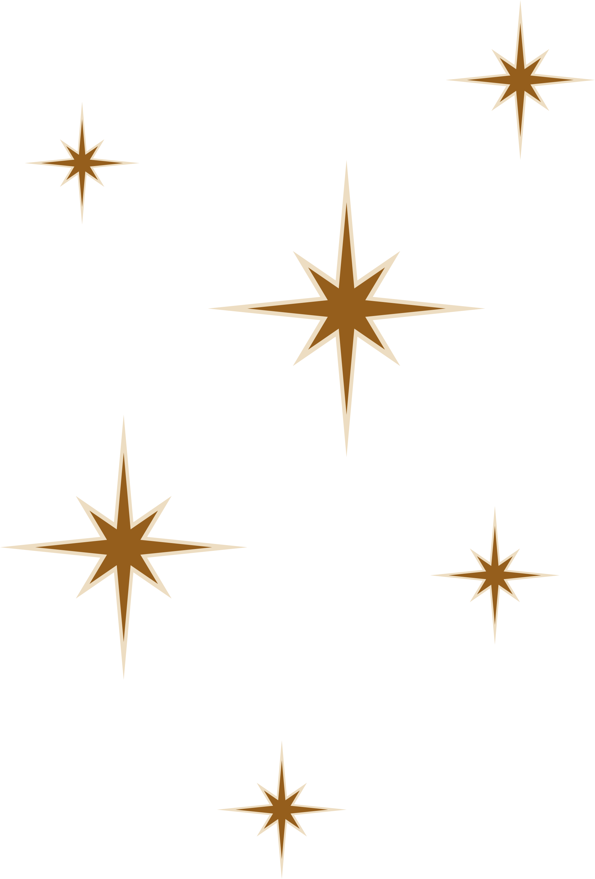 Gold and white star-shaped decorations on a black background.