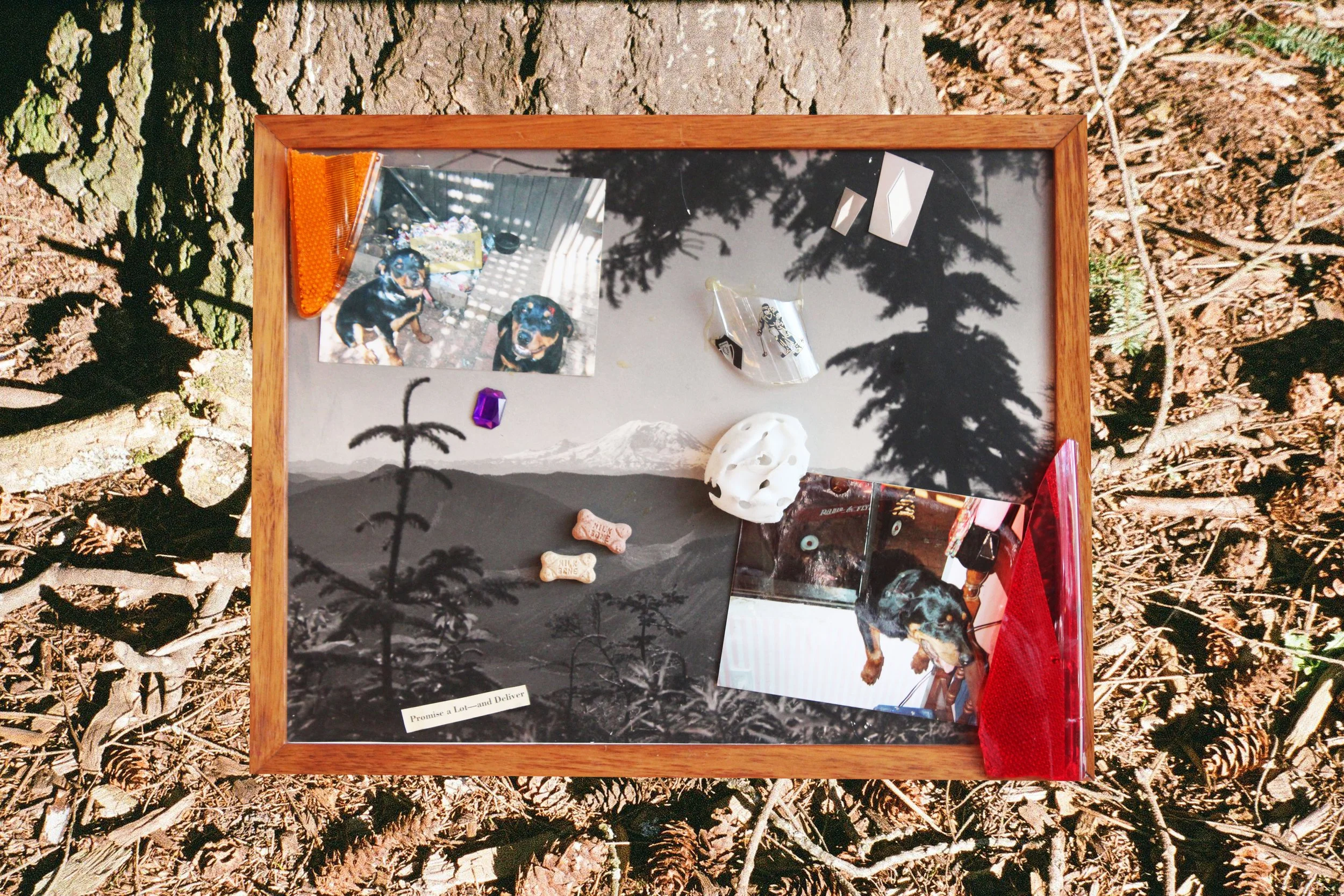 THE ADVENTURES OF ROCKY AND DESKWINKLE