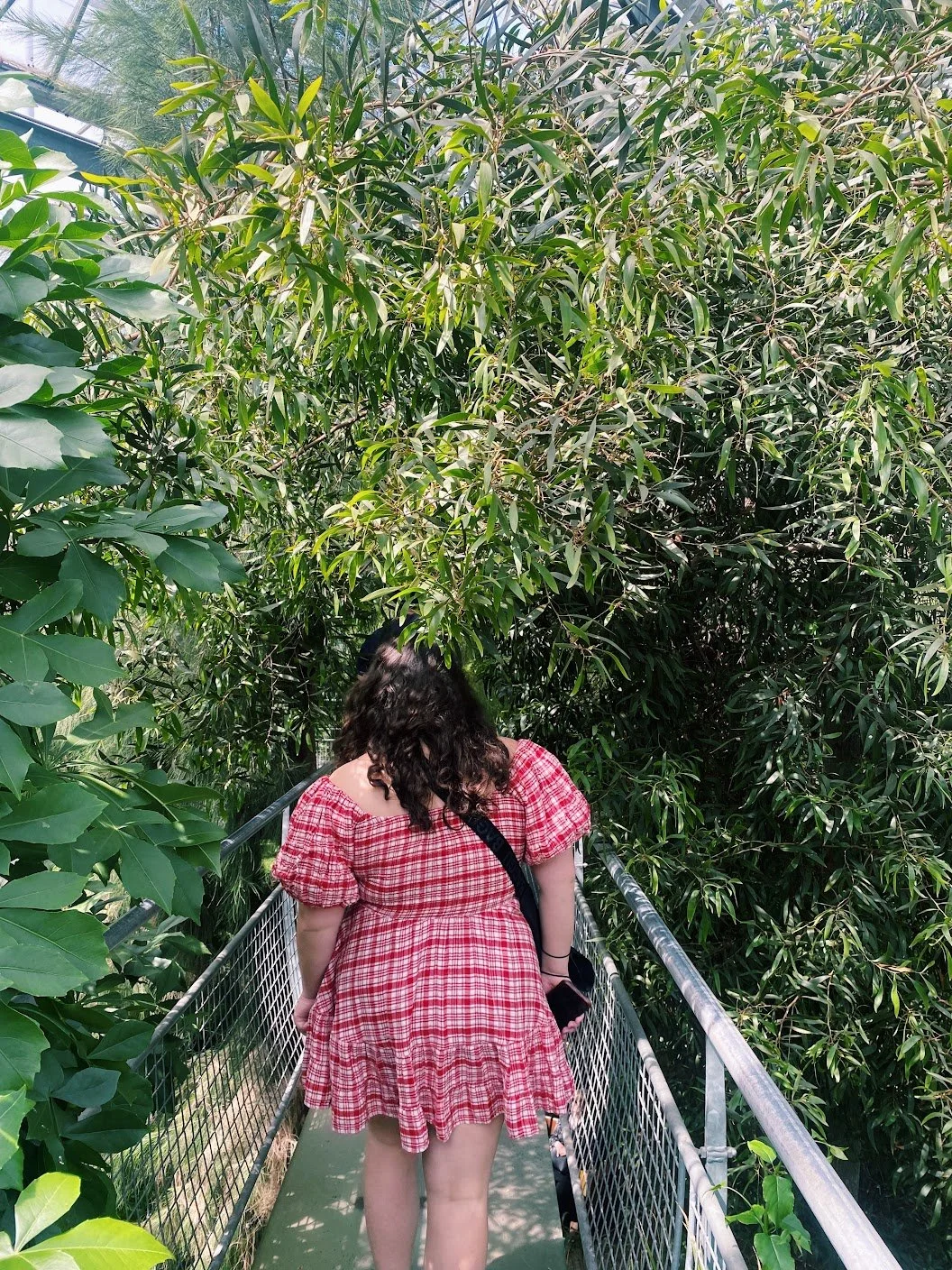 A person with long, curly dark hair wearing a red plaid dress walking on a narrow walkway surrounded by dense green foliage.