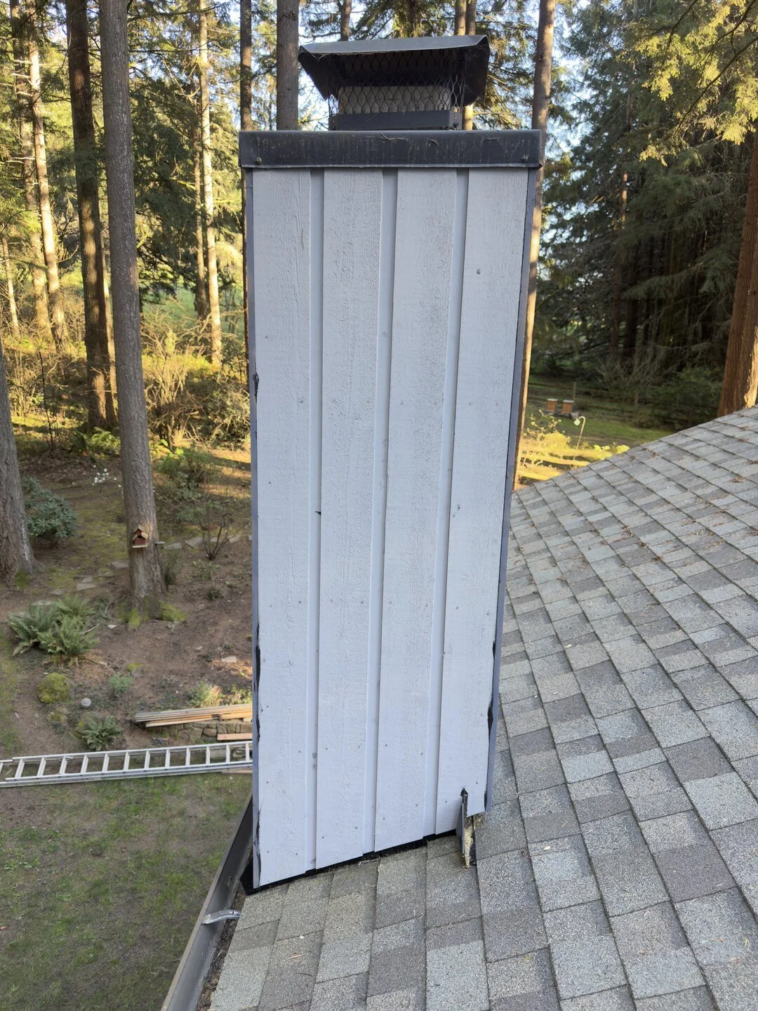 Chimeny-siding-repair-2.jpg