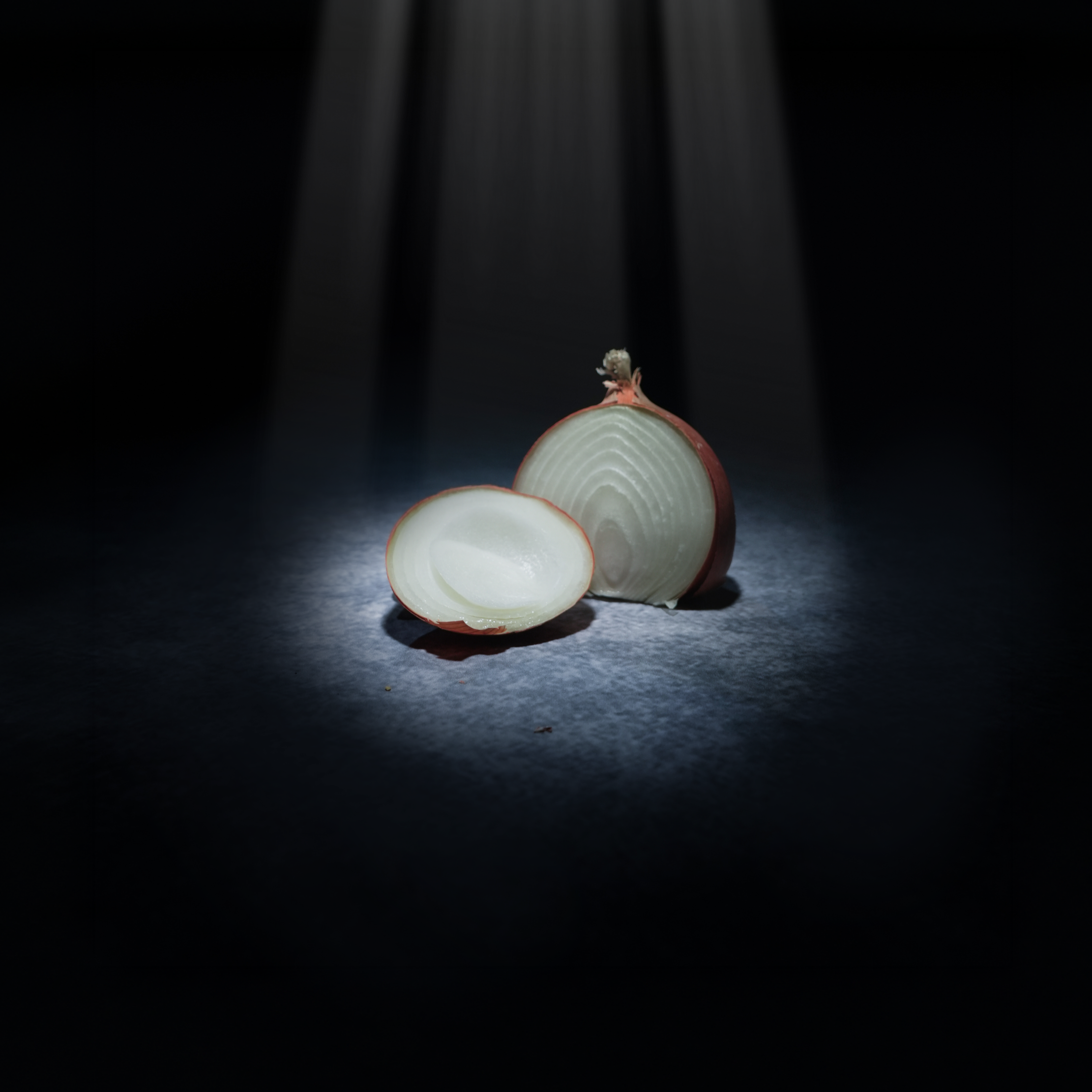 Onions in all forms contain compounds that cause oxidative damage, destroying red blood cells and leading to a serious, often fatal condition called hemolytic anemia.