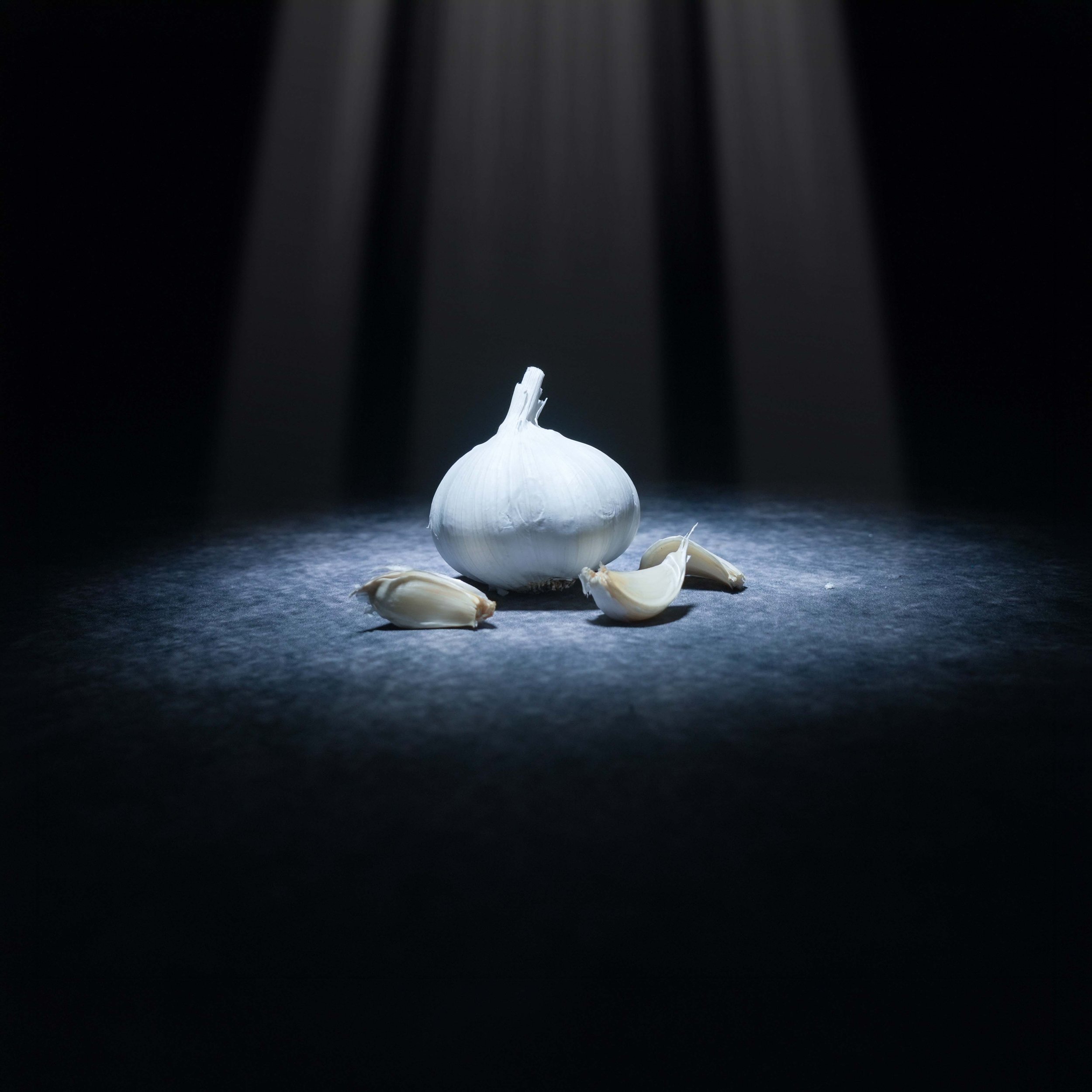 A Recipe For Disaster: Garlic &amp; Cats