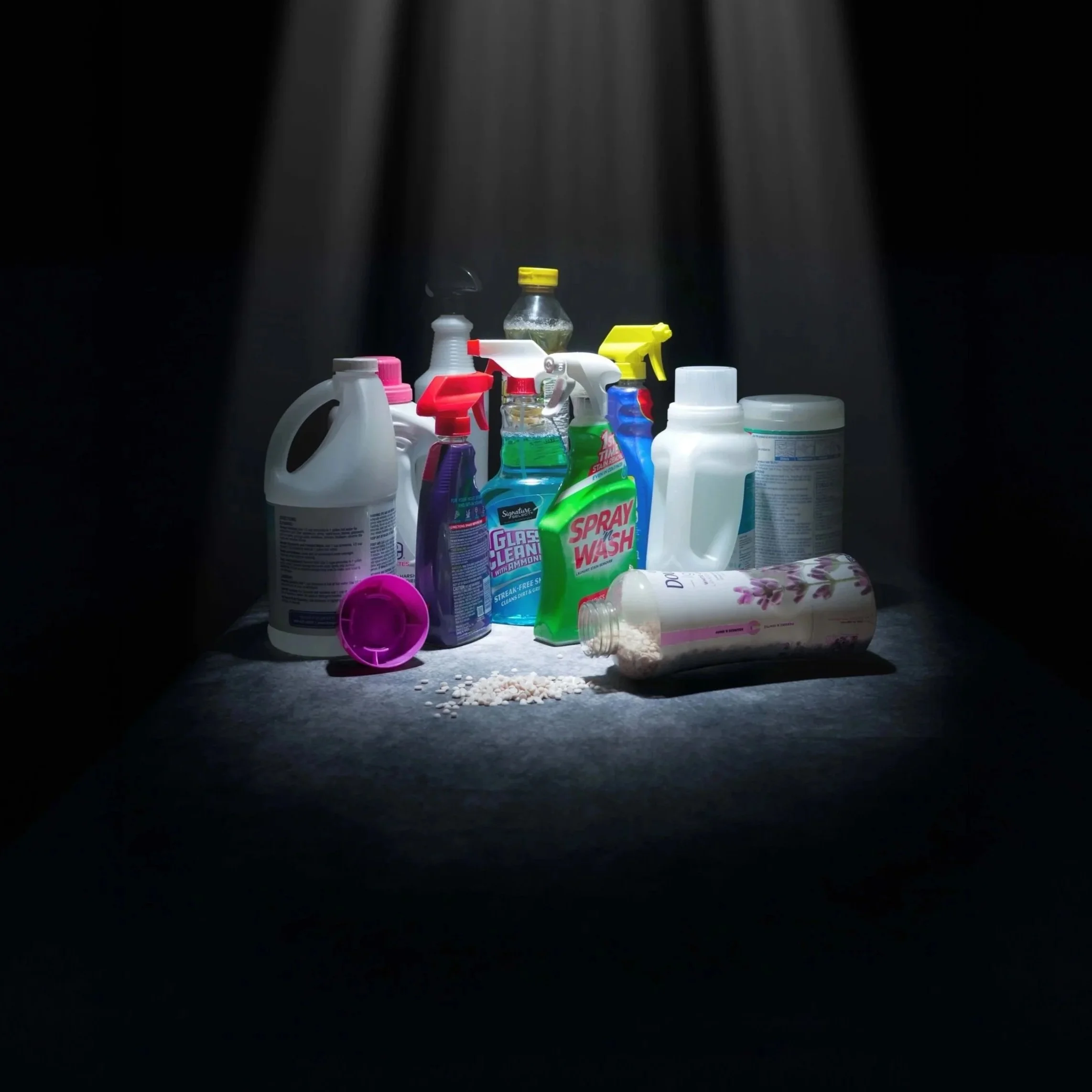 Cleaning products containing bleach and ammonia can lead to serious illness or death in cats who ingest or make external contact with them. 