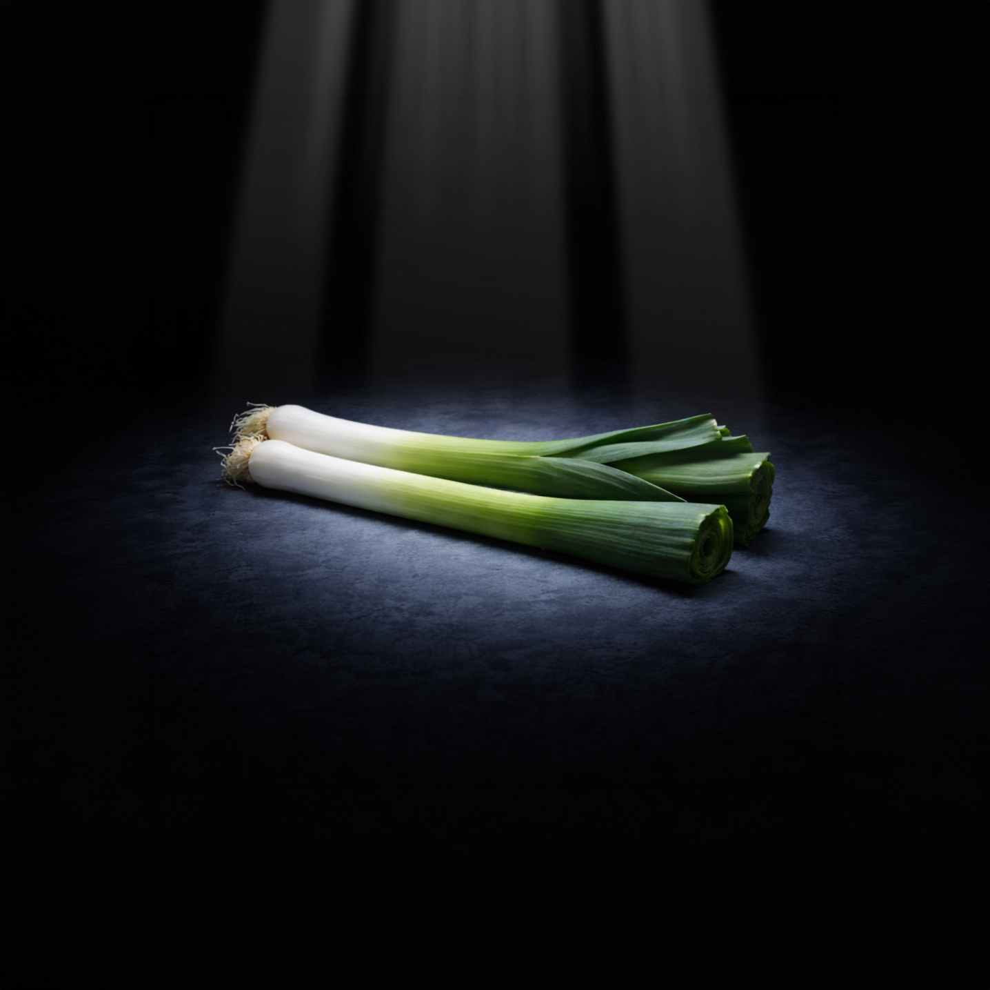 As another member of Allium family, leeks are also toxic to cats.