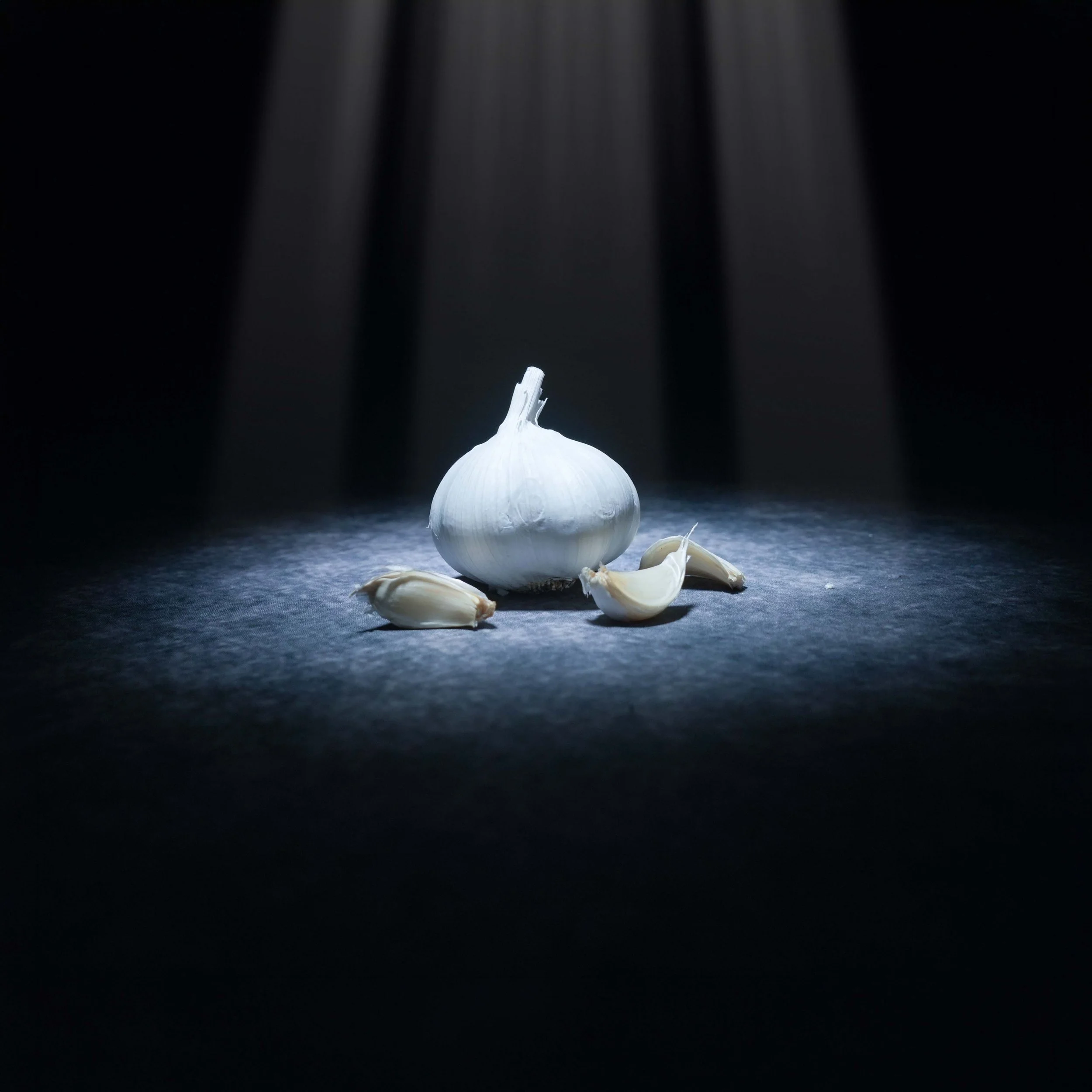 Even small amounts of raw, cooked, or powdered garlic is highly toxic to cats, causing damage to red blood cells.