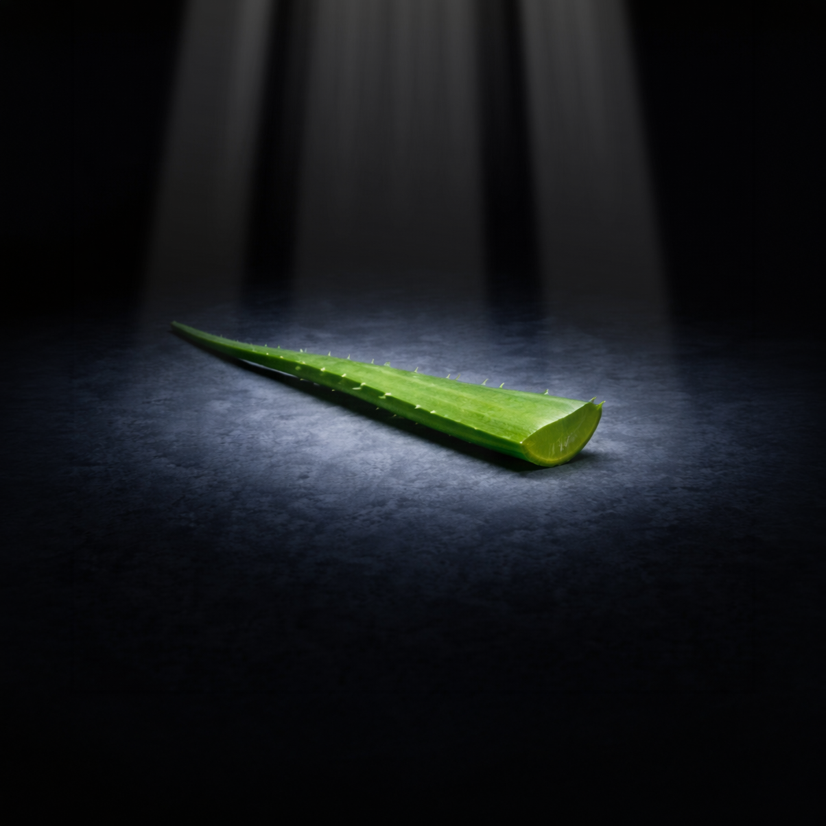 Aloe is considered toxic to cats. The plant contains compounds found in the yellow sap just under the skin that are harmful. 