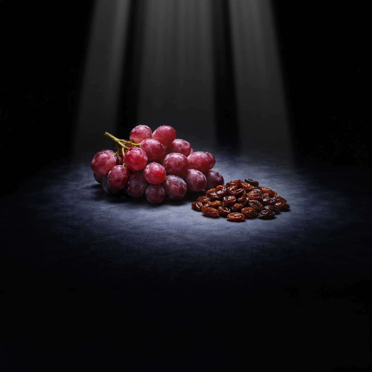 Even small amounts of grapes and raisins can cause rapid, fatal kidney failure in cats.