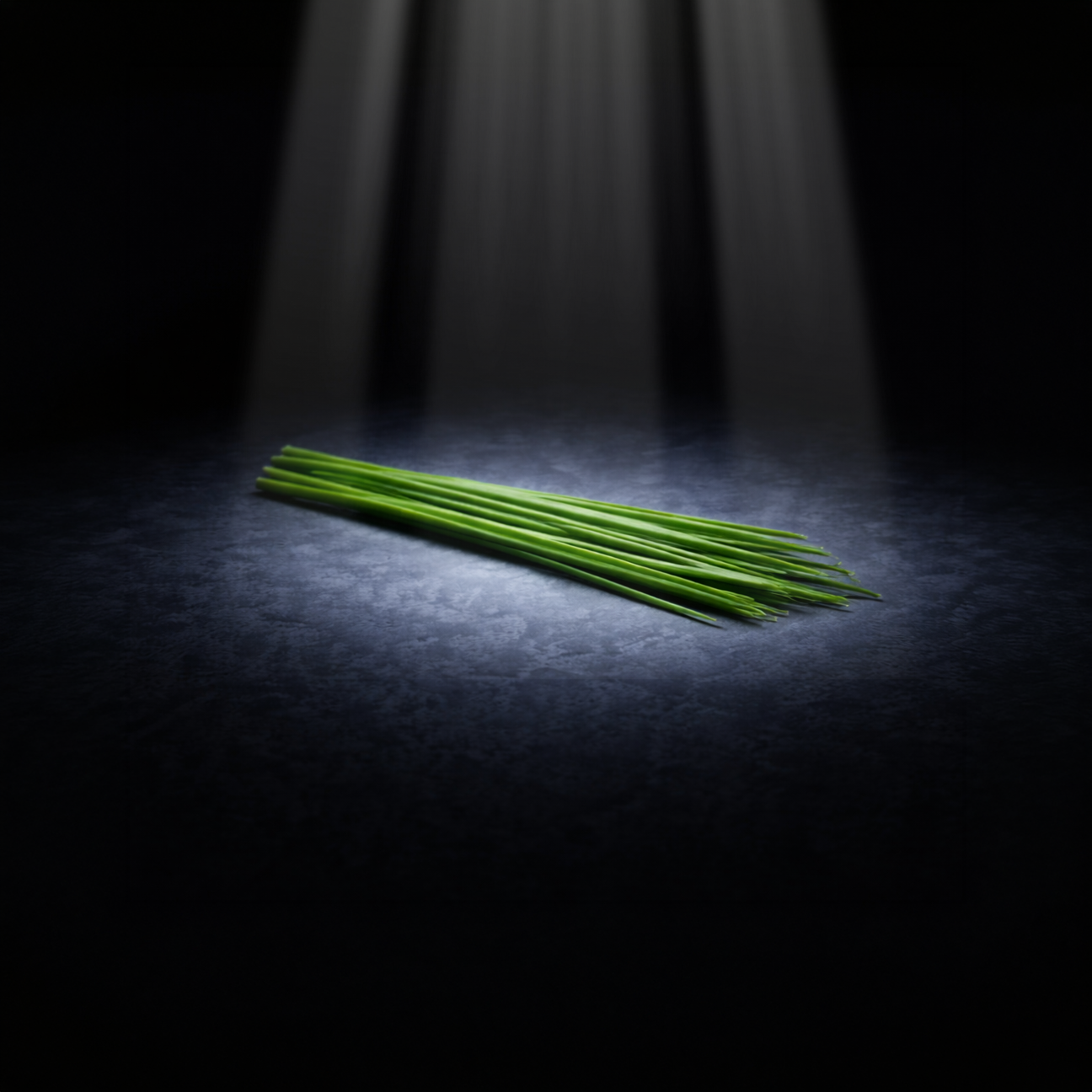 Because they are part of the Allium family, chives are just as toxic for cats as leeks, onion and garlic.