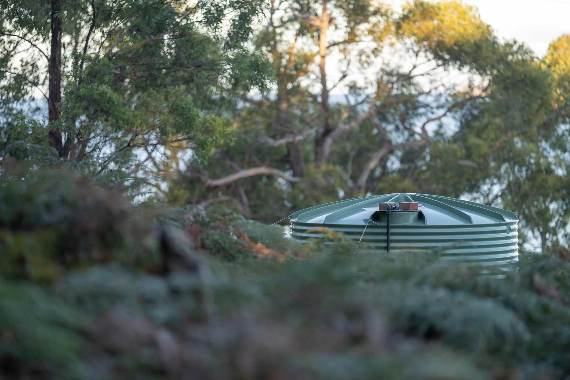 A green robotic autonomous mower moving through a grassy area surrounded by trees.