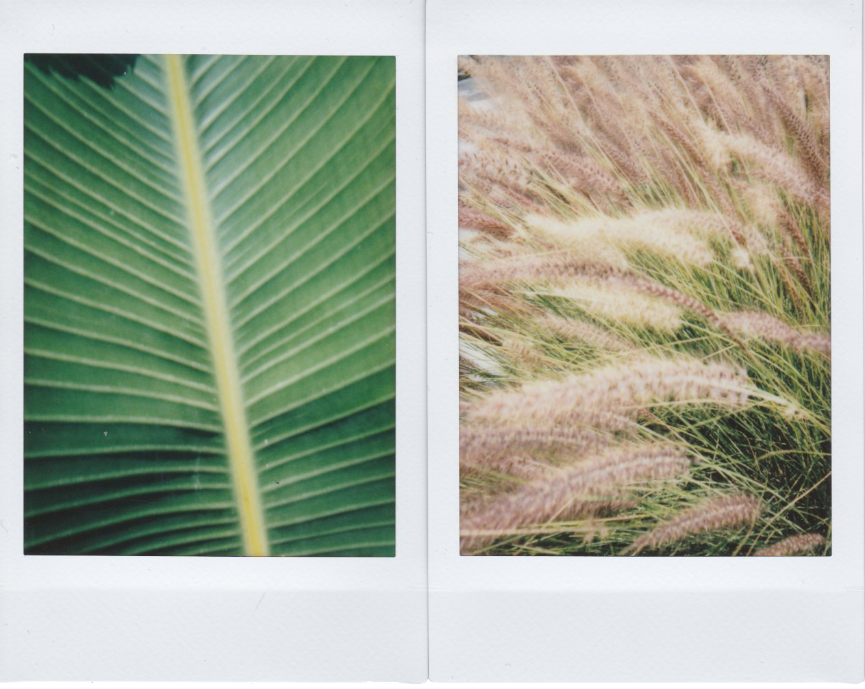 Scan 1 copy.png
