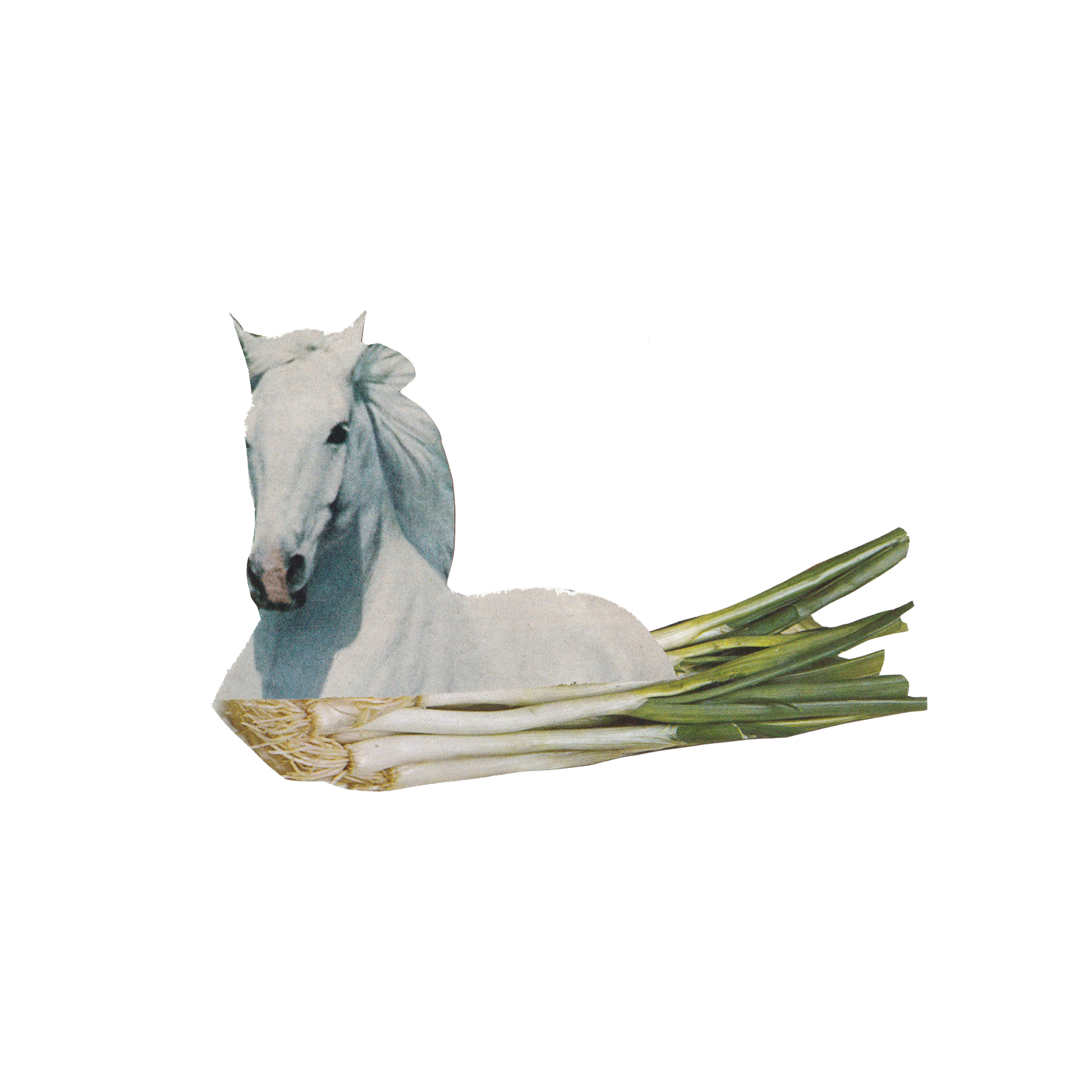 hourse copy.png