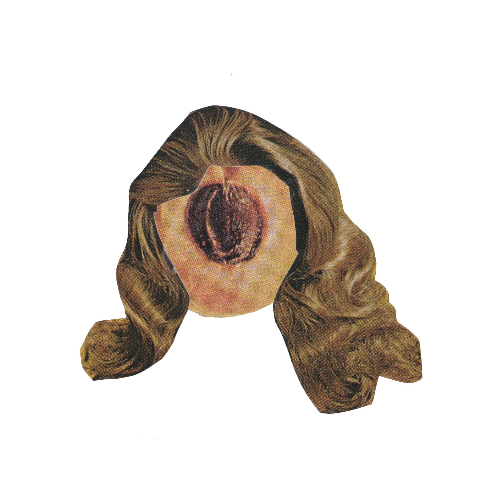 georgia peach copy.png