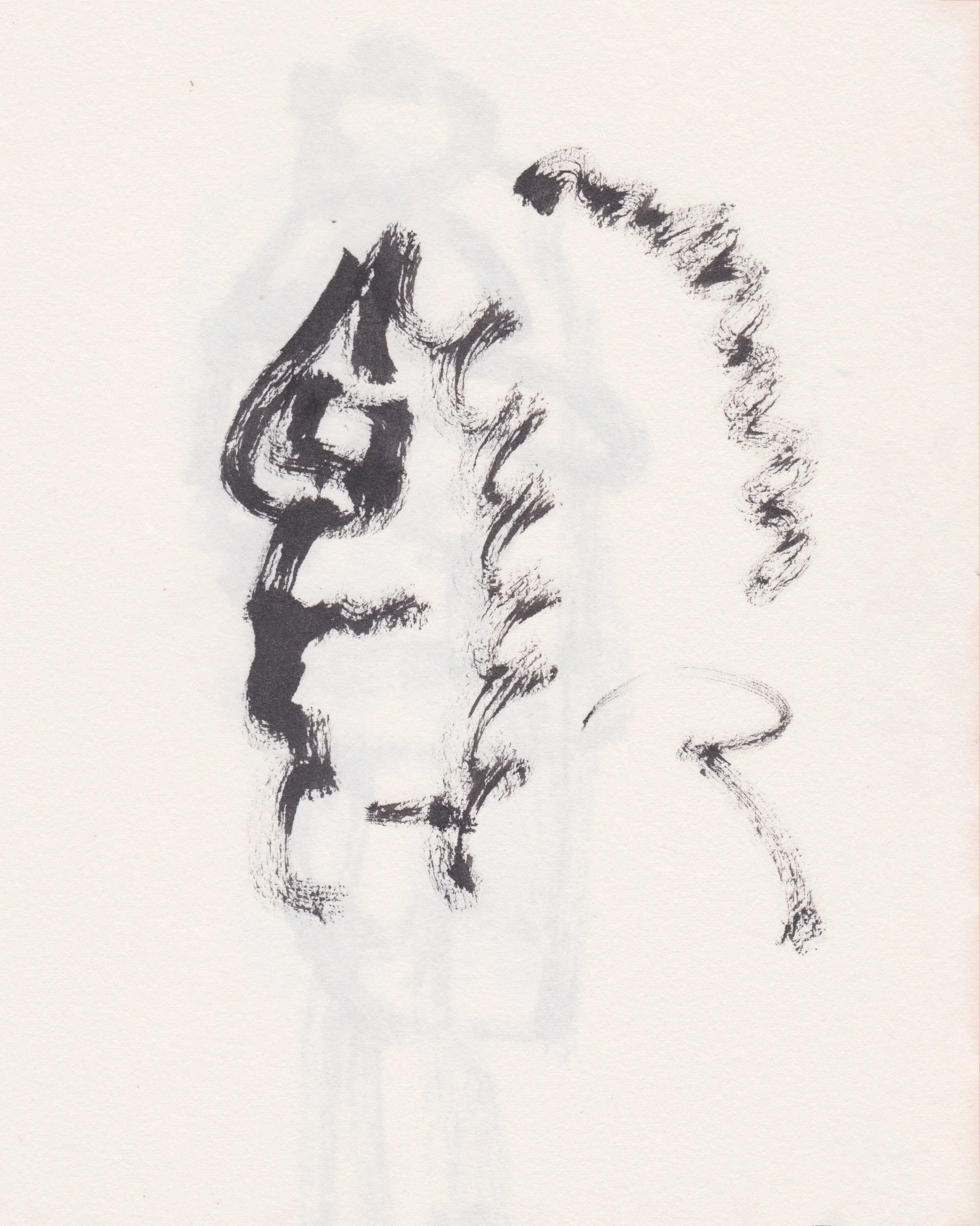 scan 3.jpg