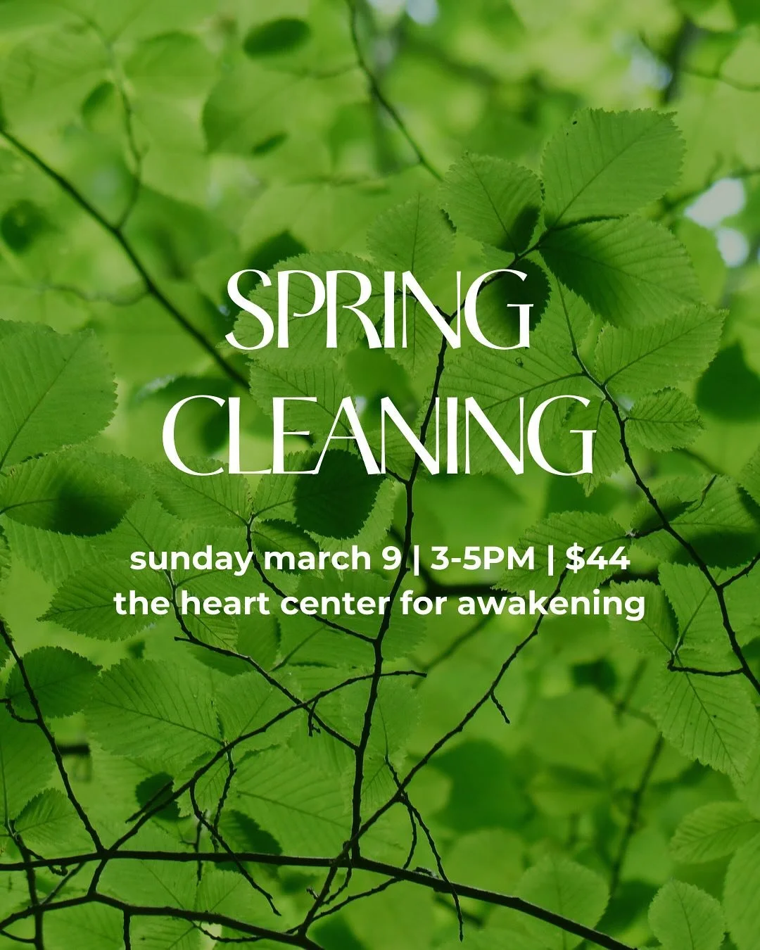 New workshop alert 🌱 link in bio to register!

Spring Cleaning: Sunday March 9 | 3-5PM | $44

Join me for a special 2-hour yin practice with sound bath attuned to the energy of spring!

As we move towards warmer weather and longer days, let&rsquo;s 