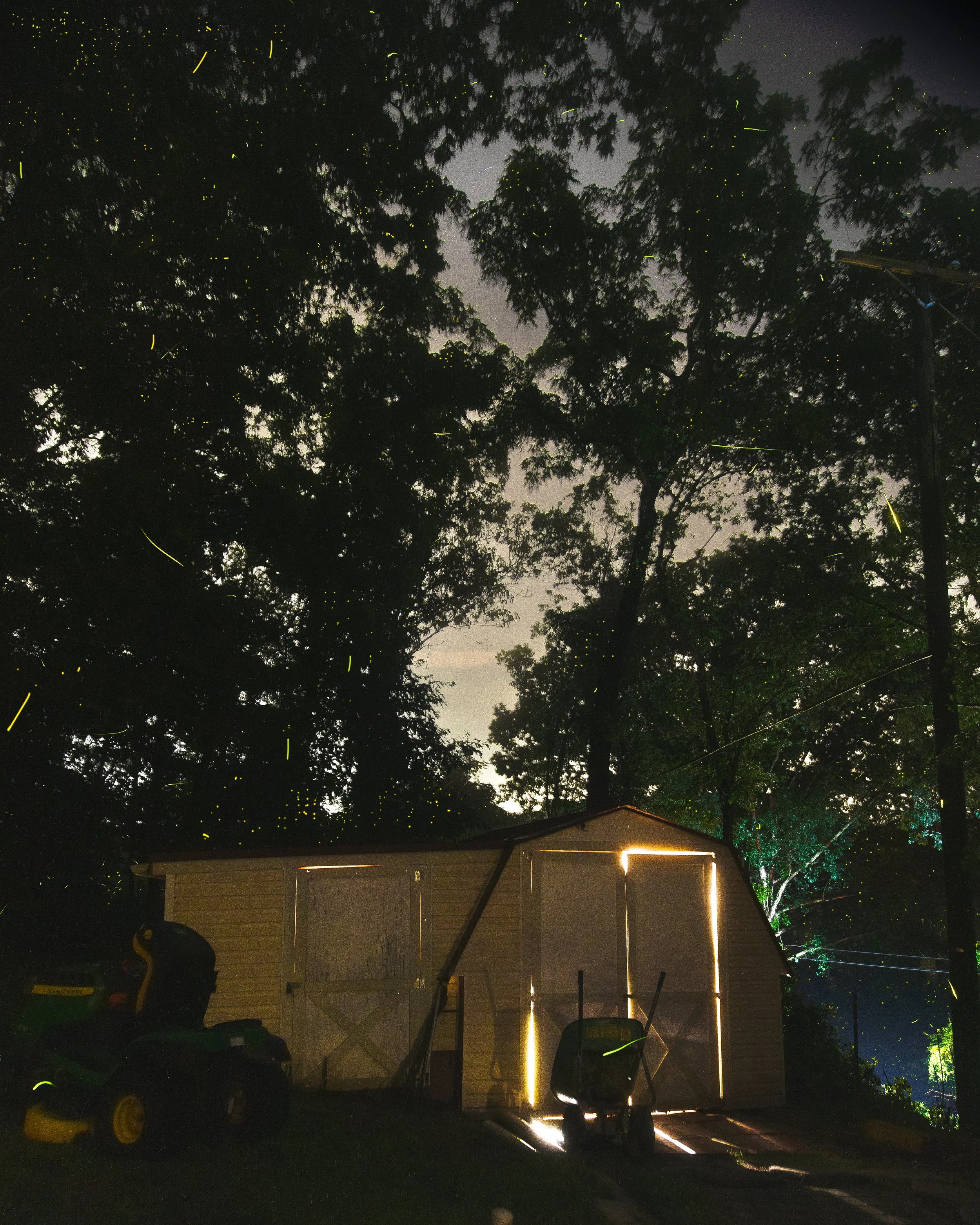 June Fireflies at the Shed.jpg