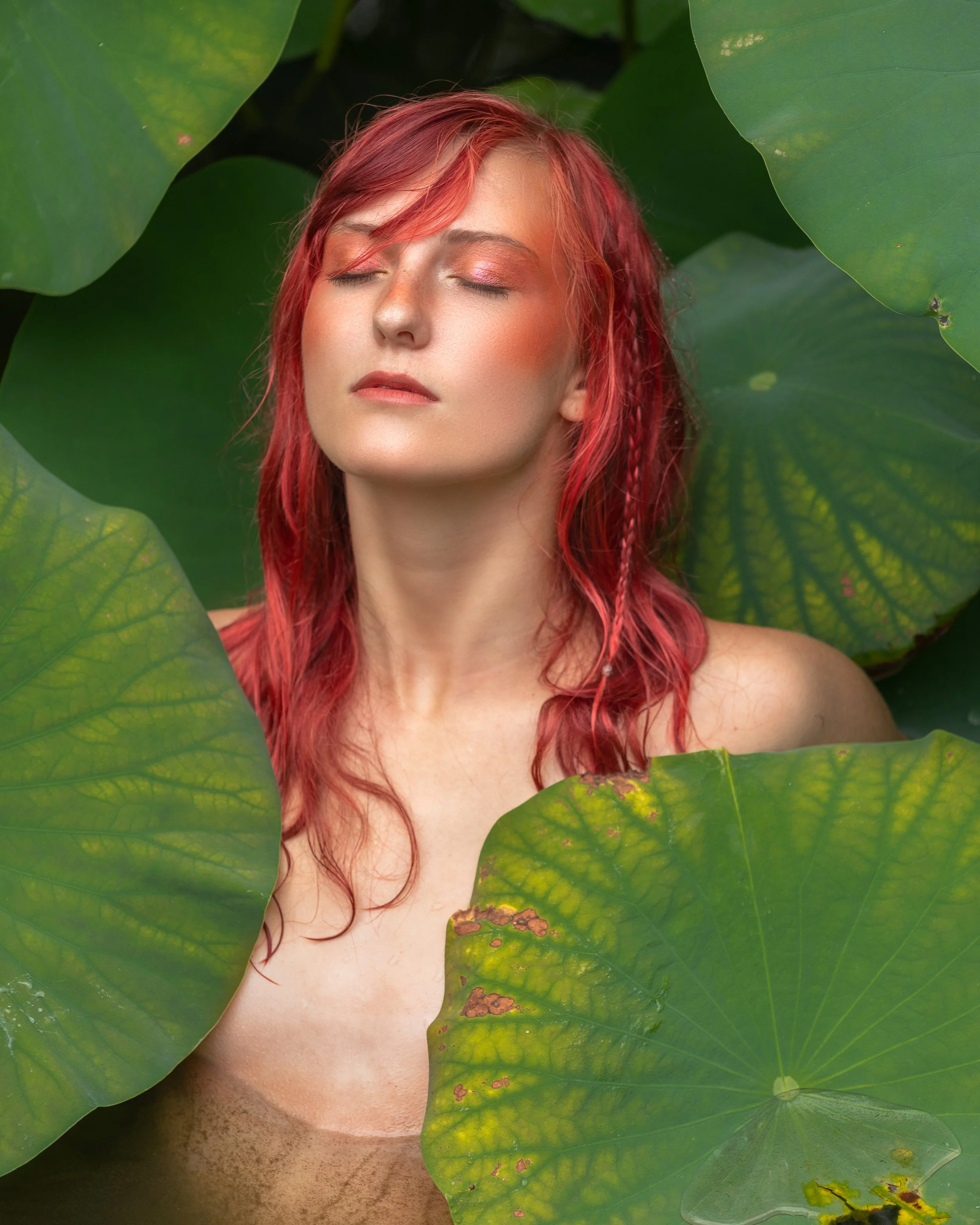 Caroline and the Lotus