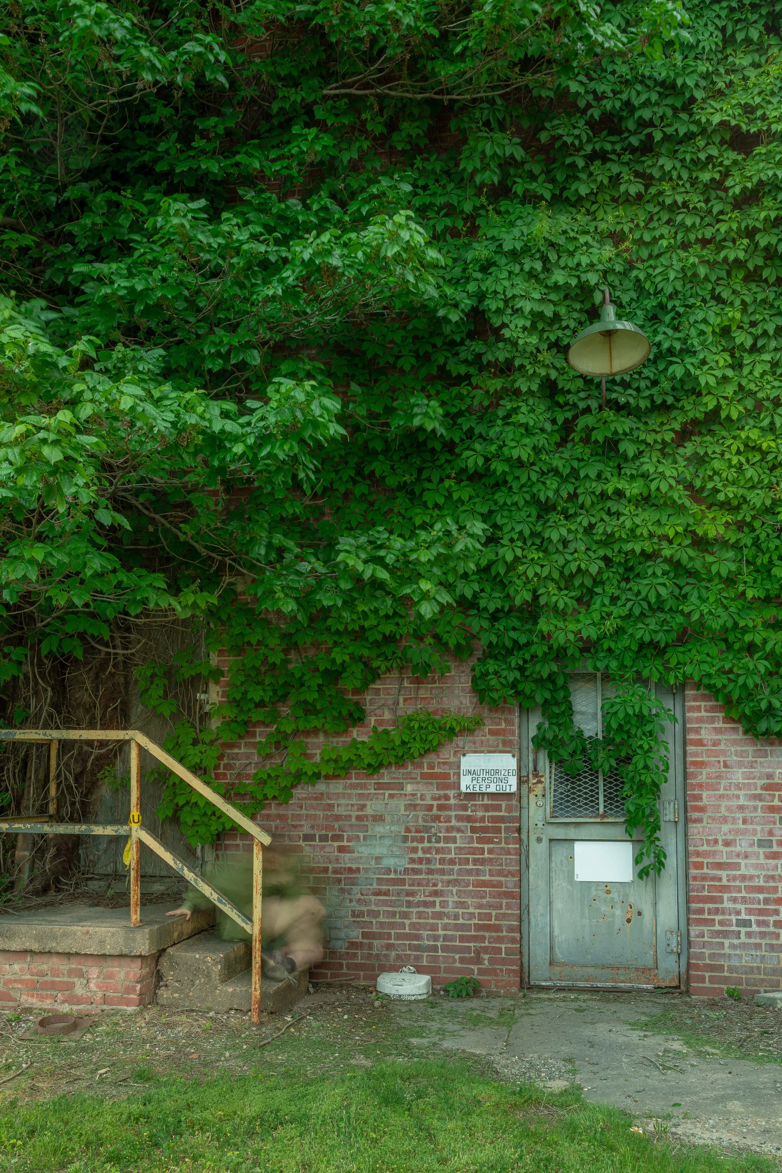 00001anthropocene graveyard.jpg