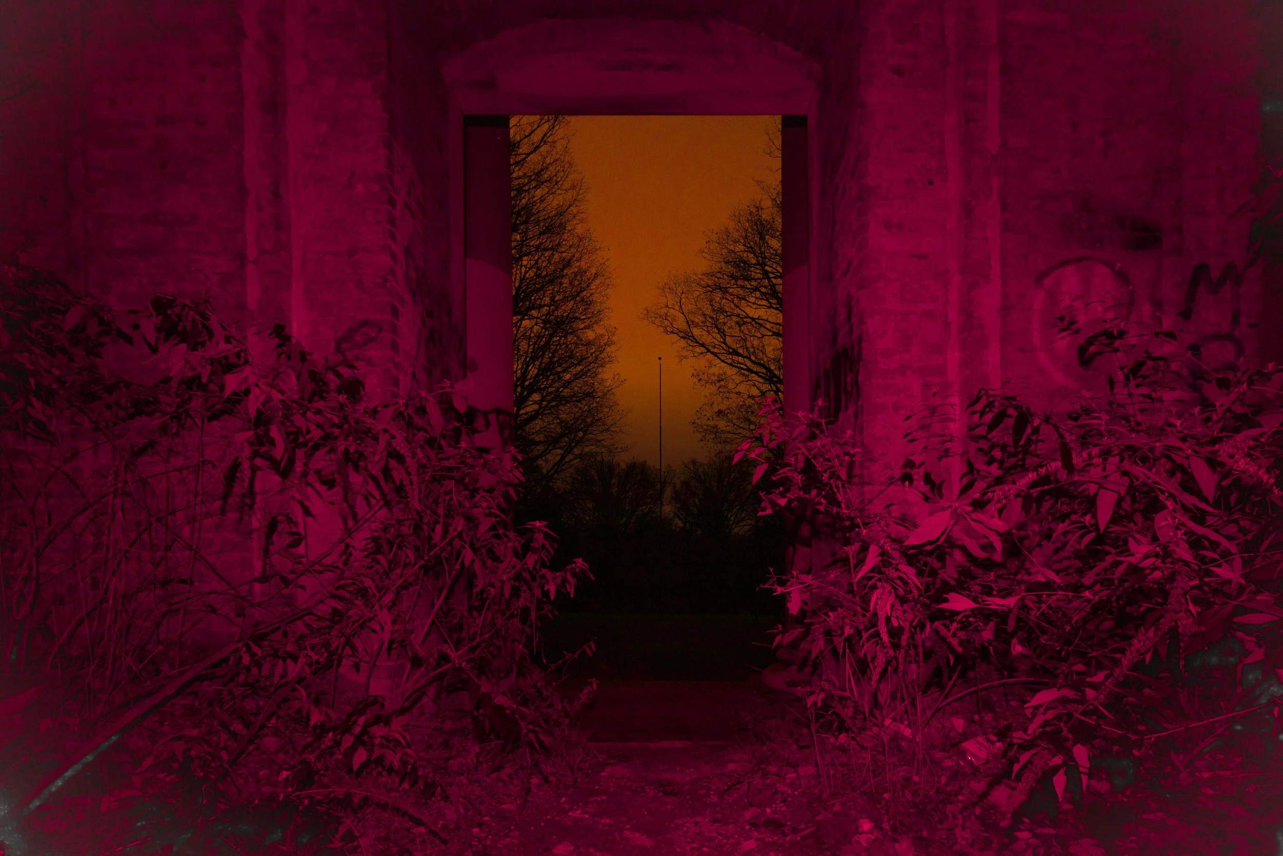 tome magenta ambient.jpg