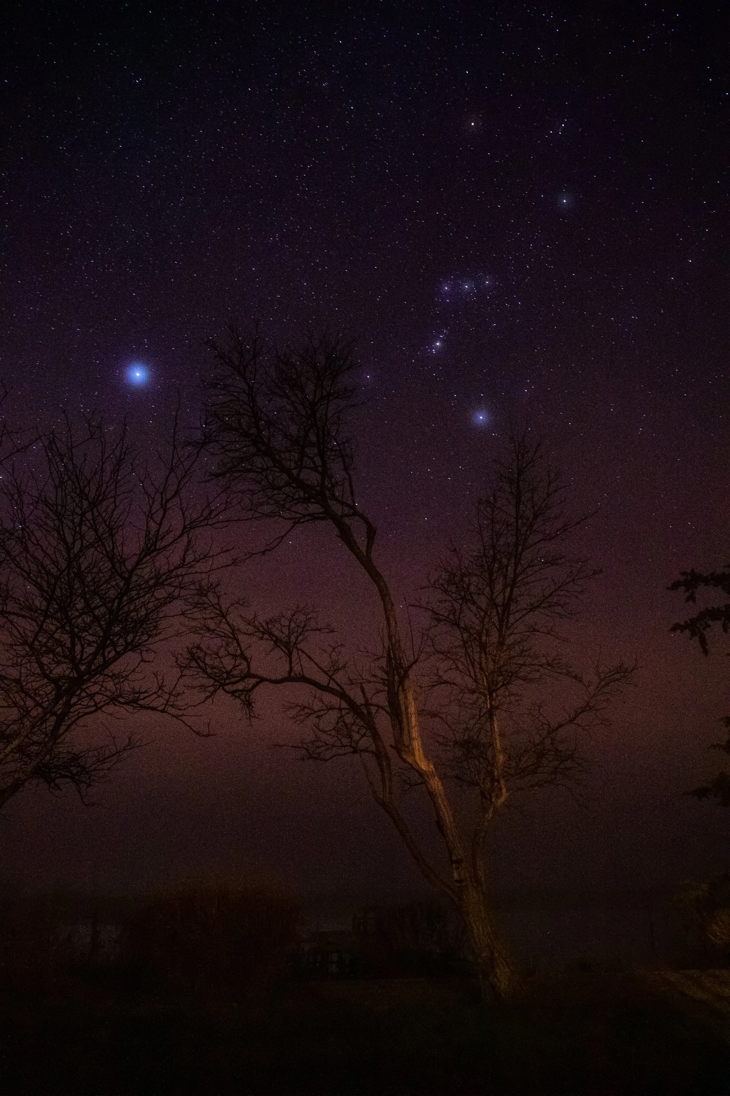 32bit-stars and trees.jpg