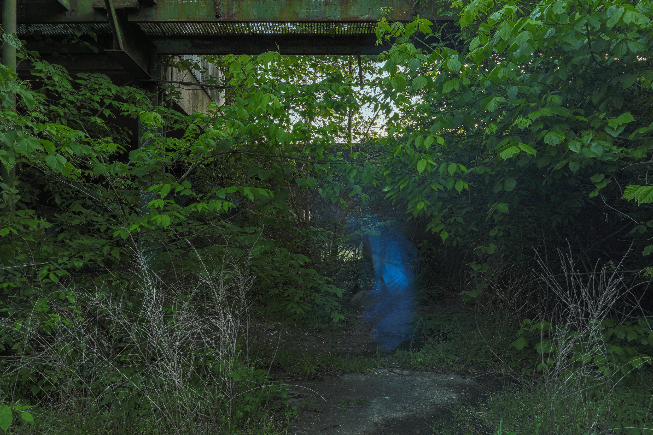 00005anthropocene graveyard.jpg