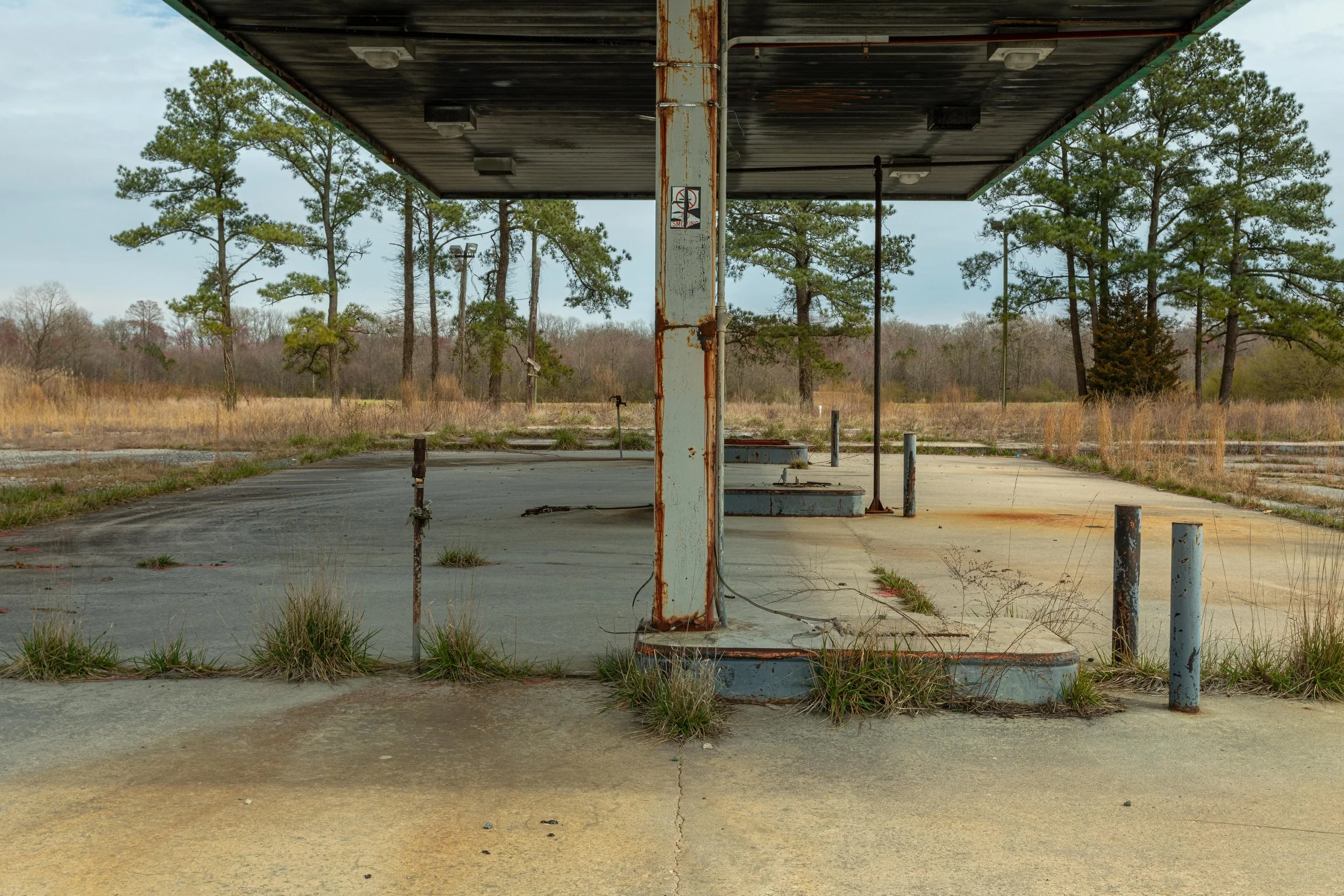 00021anthropocene graveyard.jpg