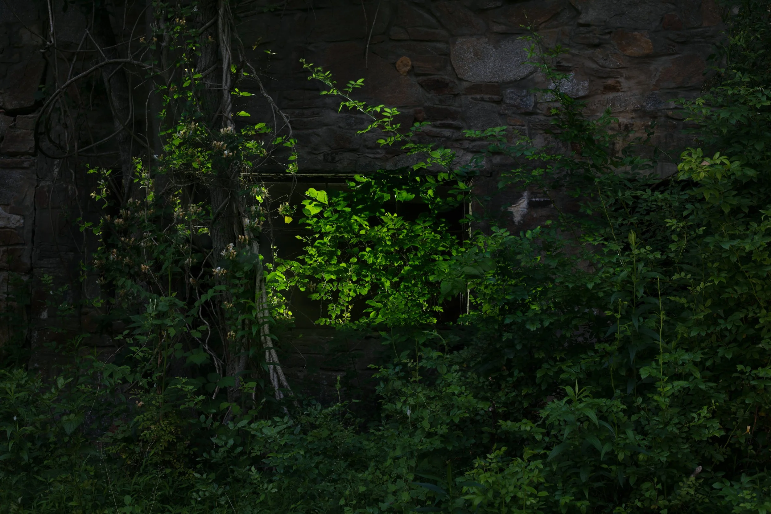 backlit window falls rd.jpg