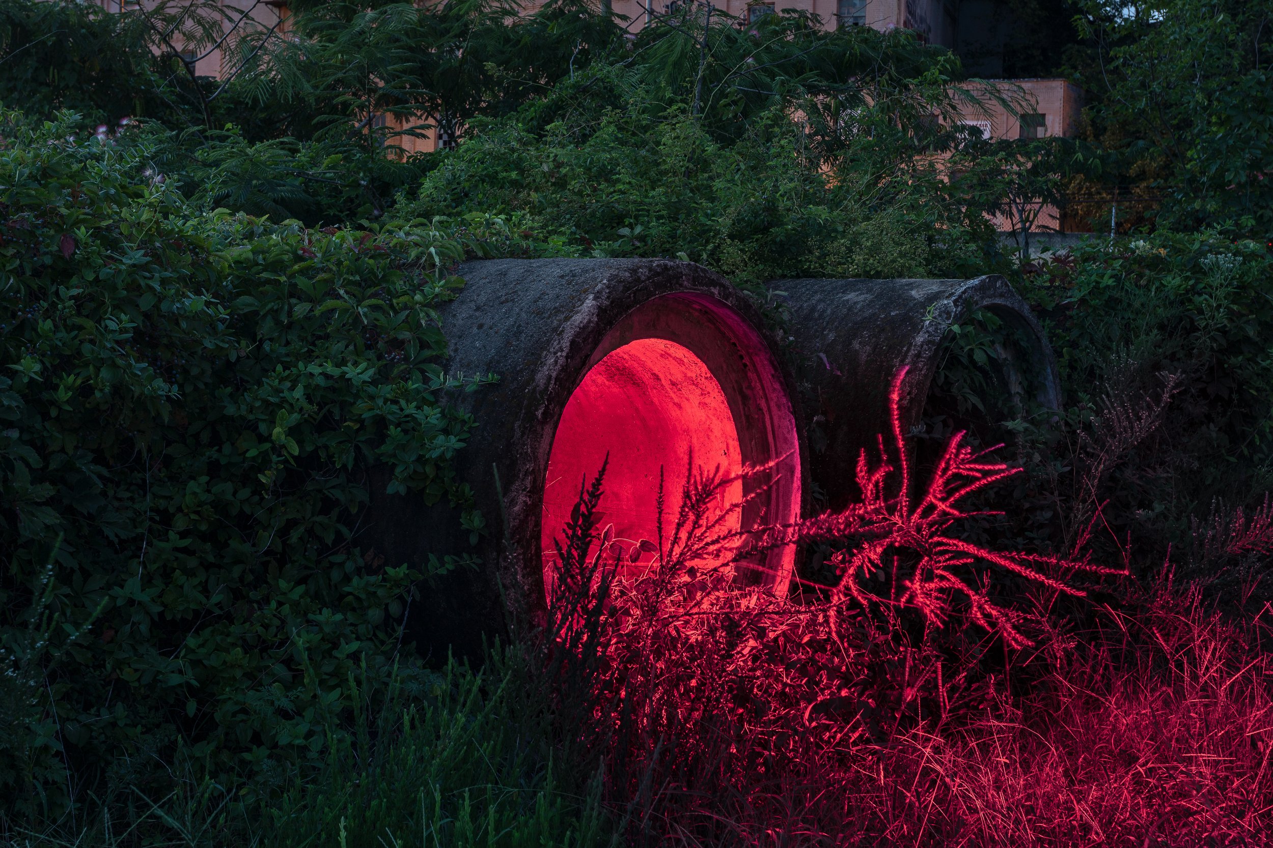 A set of concrete pipes sits in an overgrown industrial yard. The closest of the two pipes is lit by a red light from within.