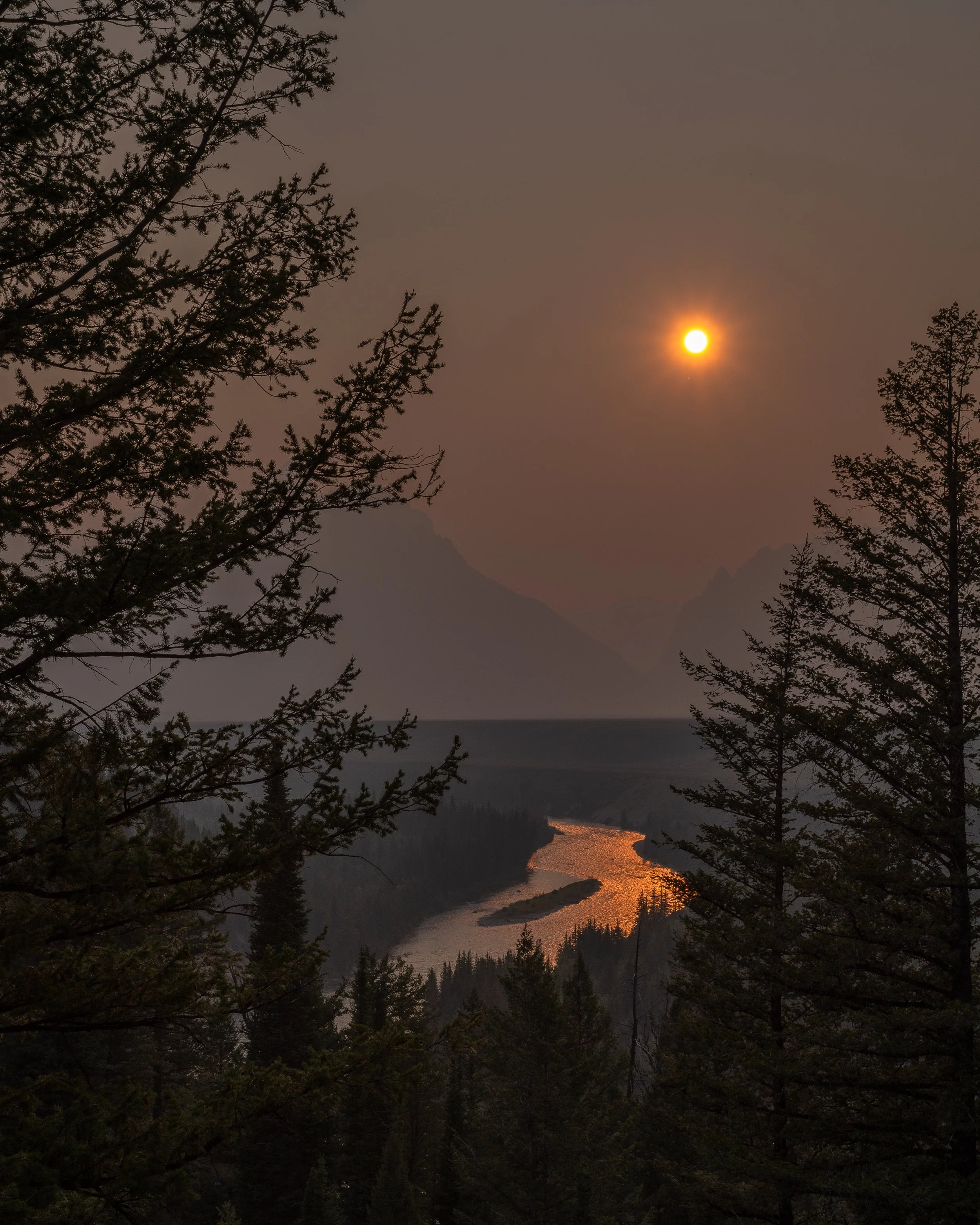 A river glows orange from the light of the setting sun. In the foreground, evergreen trees frame the landscape. In the distance, towering mountains are silhouetted in smoke.