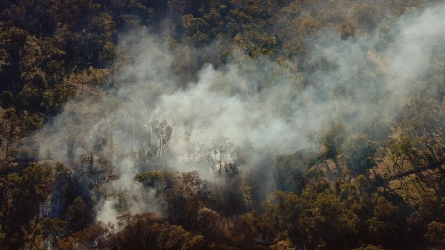 Firekeepers_Above+the+fire+ground_02.jpg
