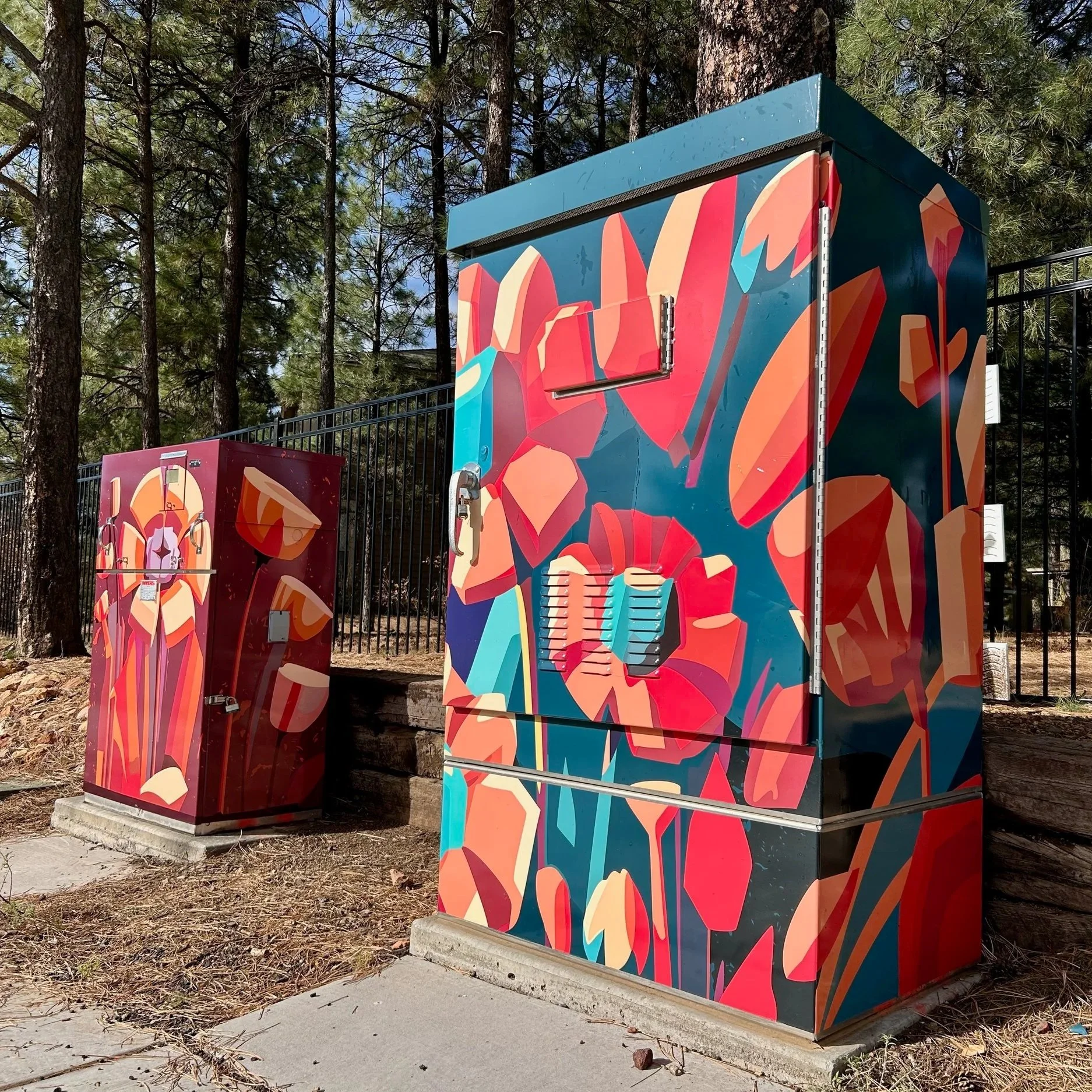 Traffic Cabinet Mural Wraps, Flagstaff AZ