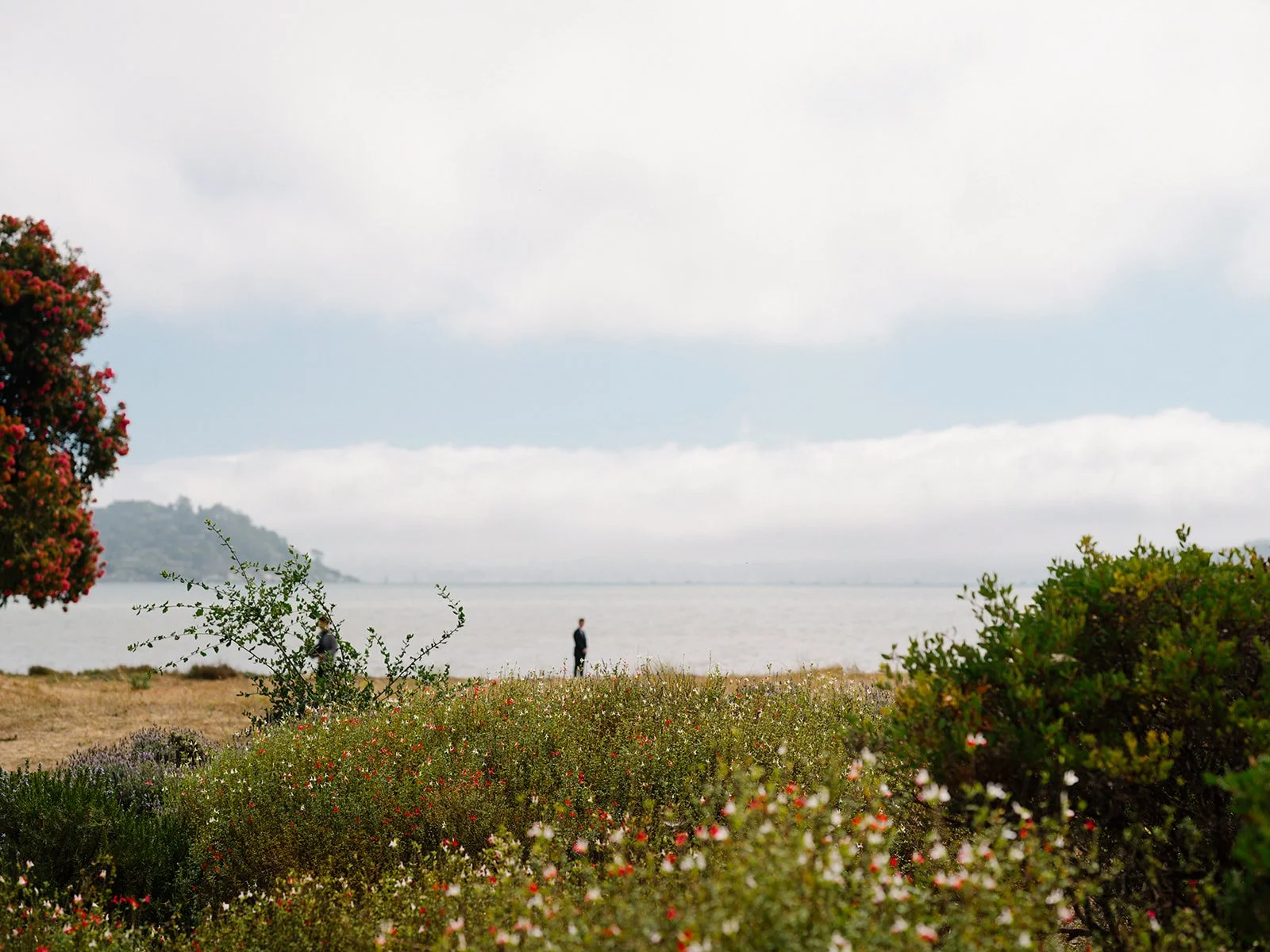 DRW_beach-69.jpg
