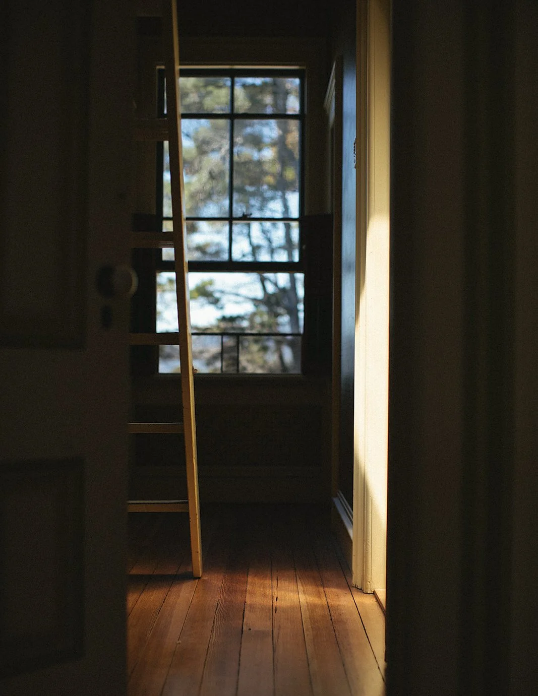 DianaRotheryWeddings_Switzer Farm Wedding-6.jpg