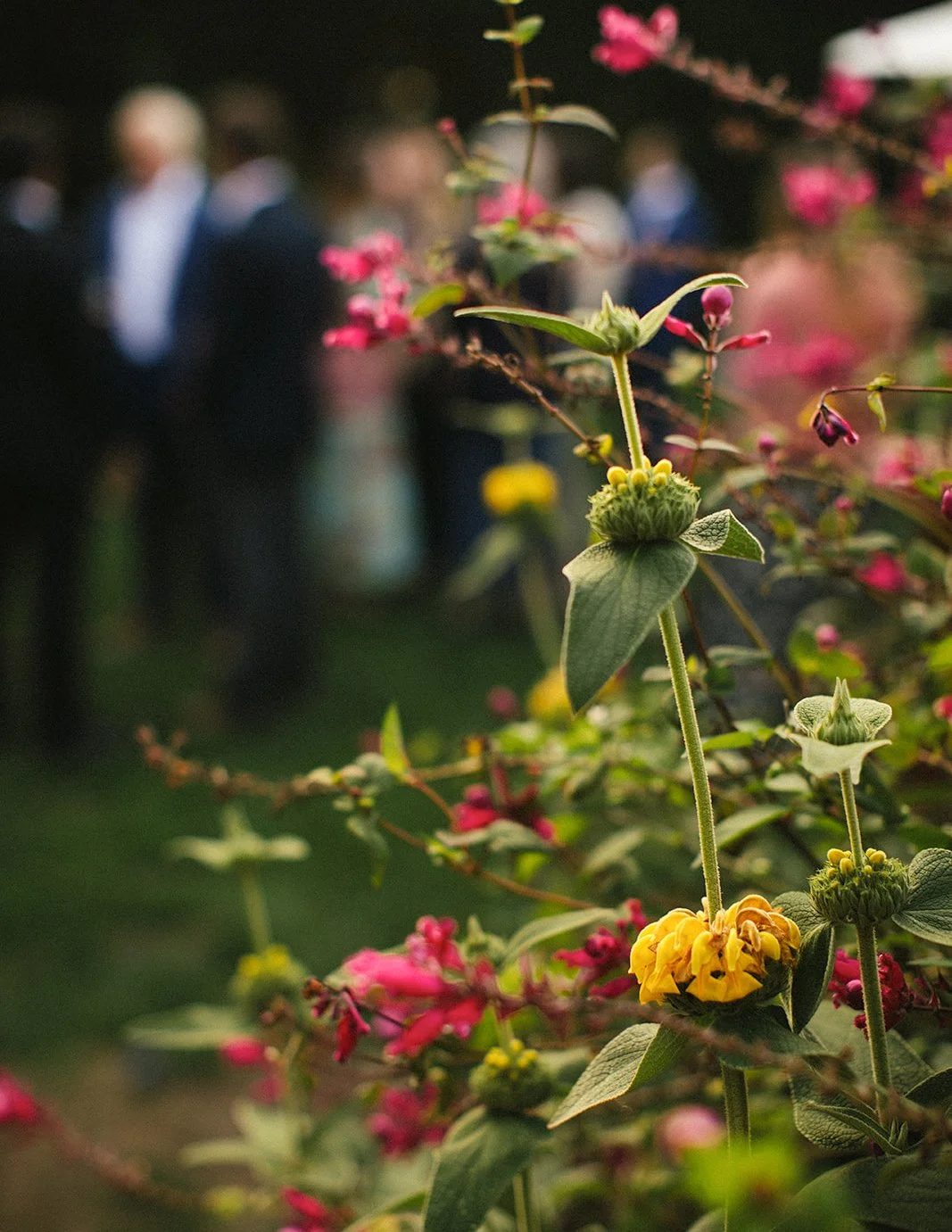 DianaRotheryWeddings_Sausalito Willow Camp Wedding-70.jpg