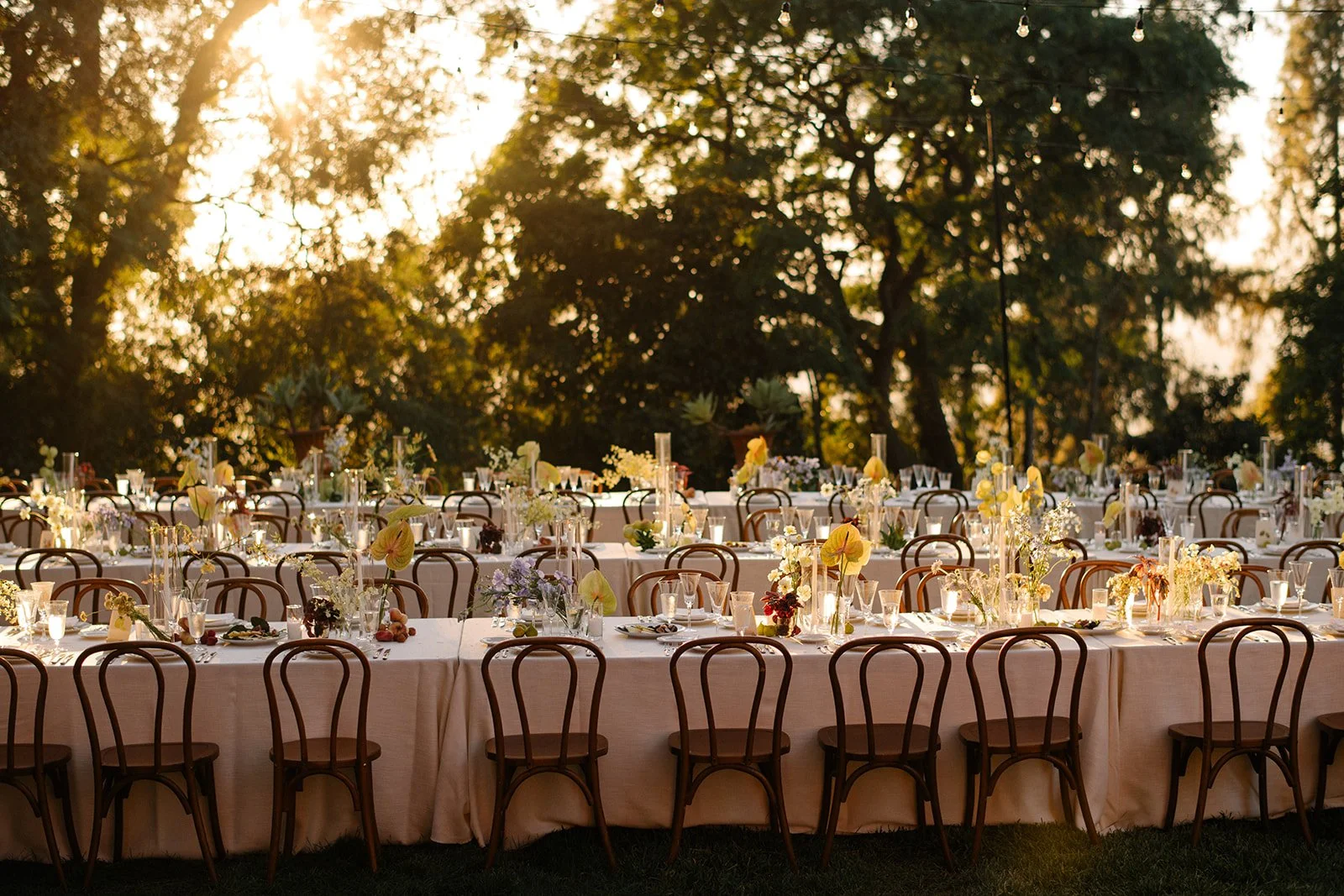 Julie+Jonathan-0844.jpg