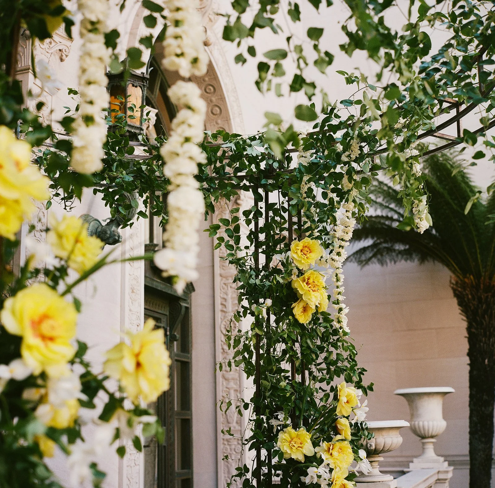 DianaRotheryWeddings_San Francisco Flood Mansion Wedding-19.jpg