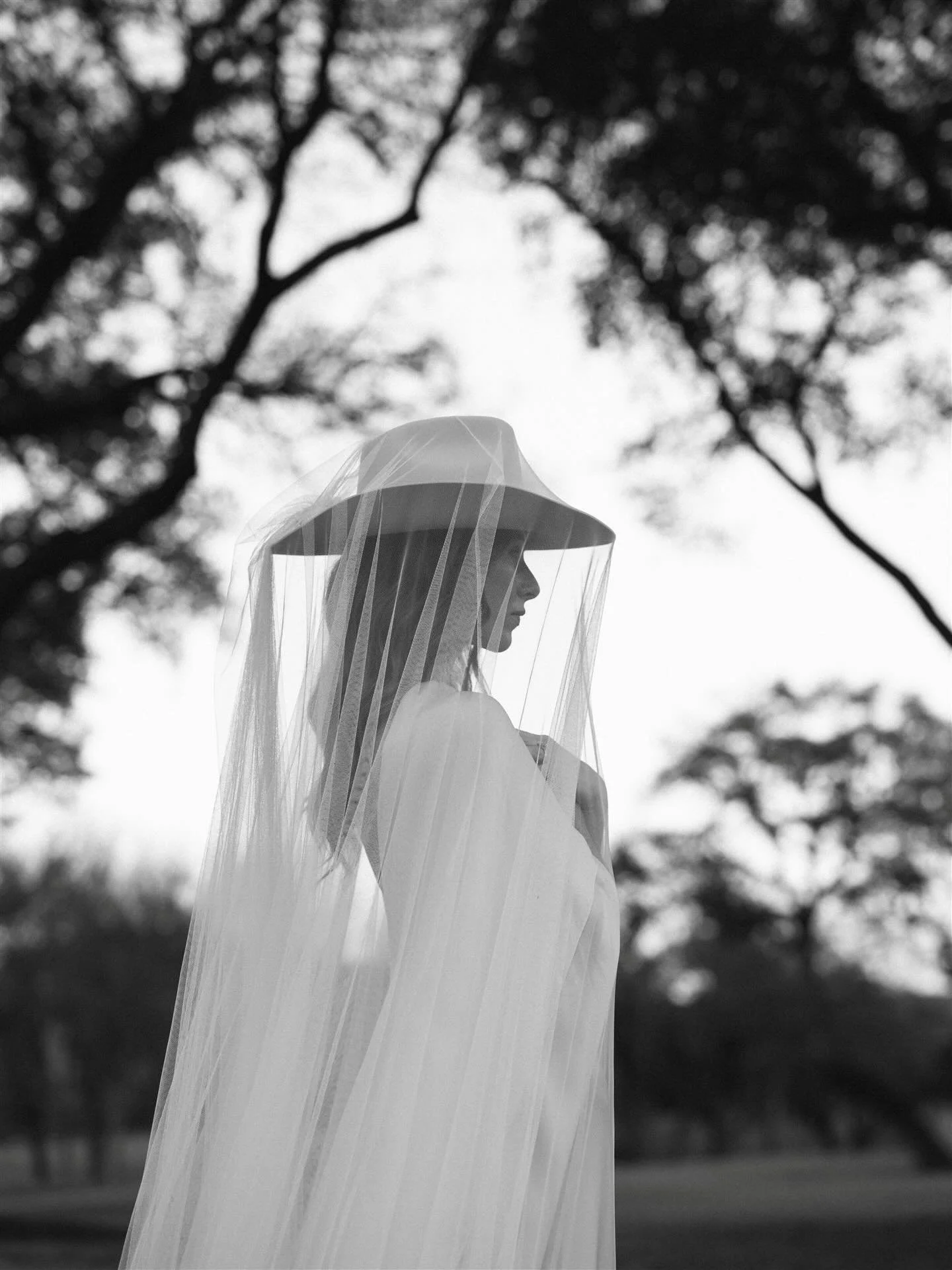 Beautiful Caroline in the Texas oaks. 

@cowboy_bride 
@antheakingbeauty 
@carol_dahl 
@cortanabrides 
@nicefilmclub